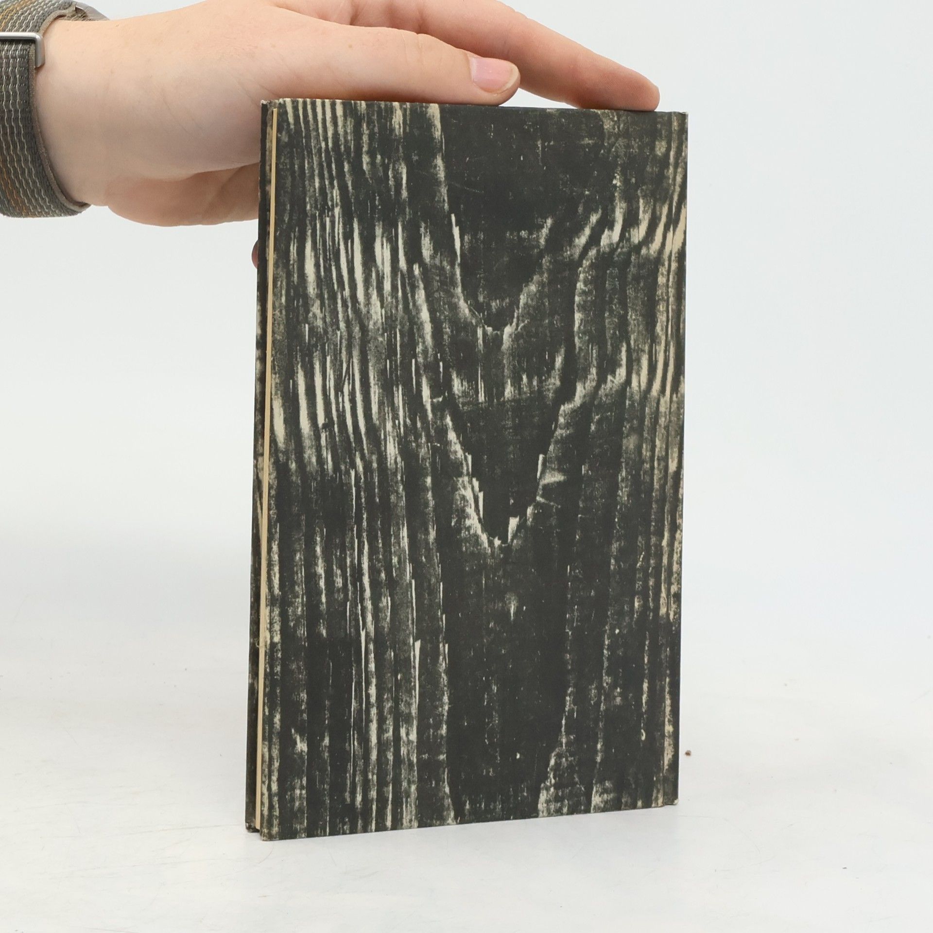 Robert Louis Stevenson Villon. Erzählung