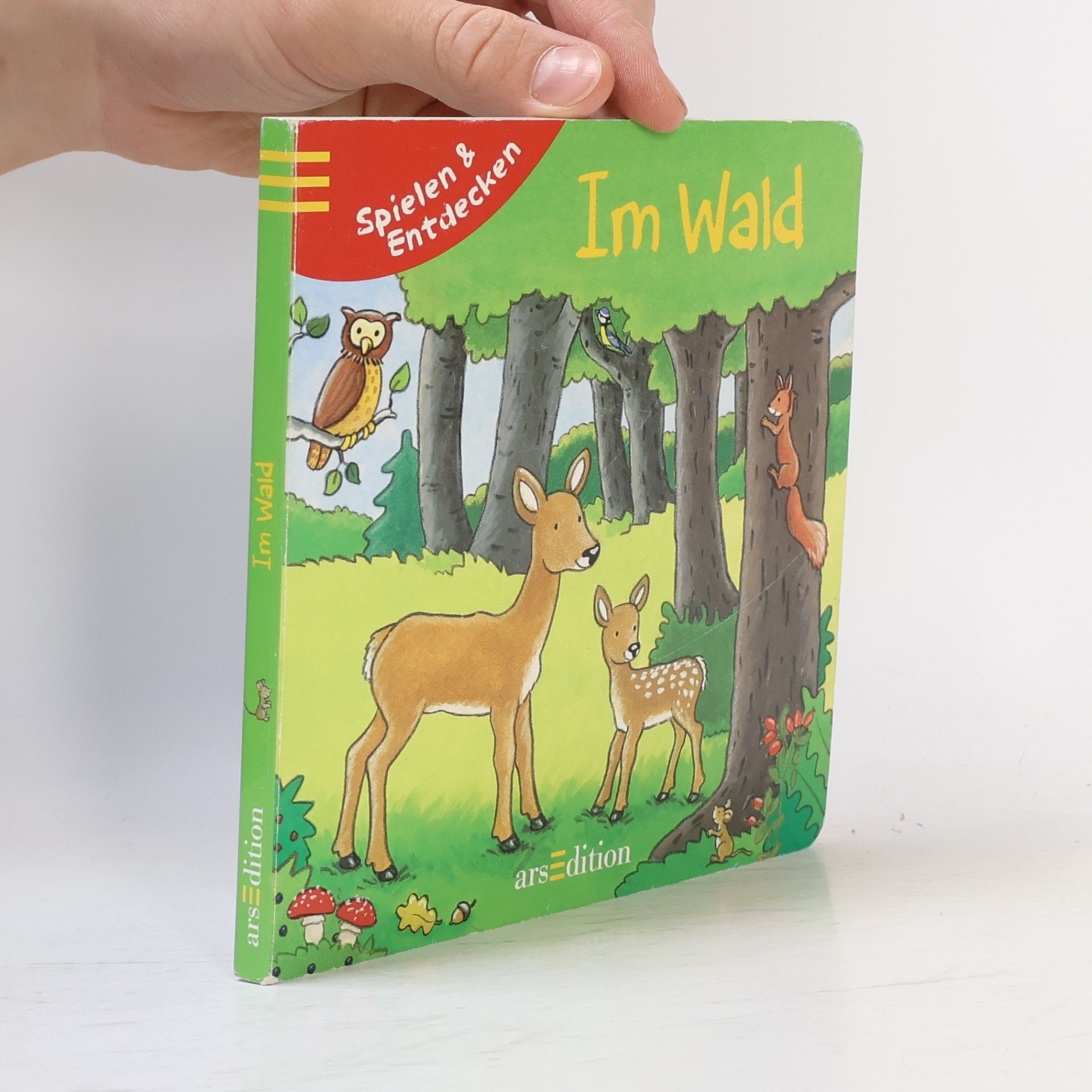 Sandra Grimm Spielen und Entdecken - Im Wald