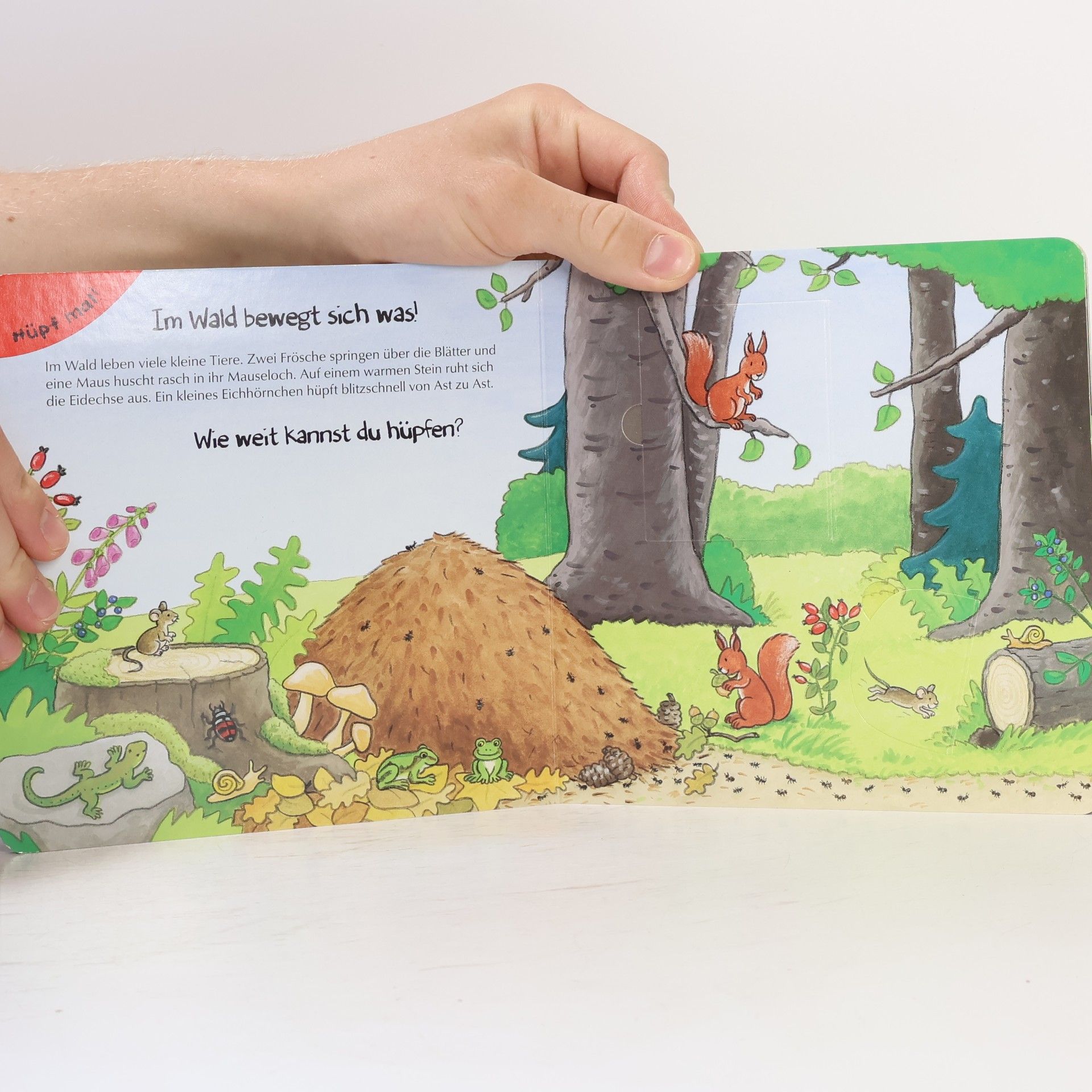 Sandra Grimm Spielen und Entdecken - Im Wald