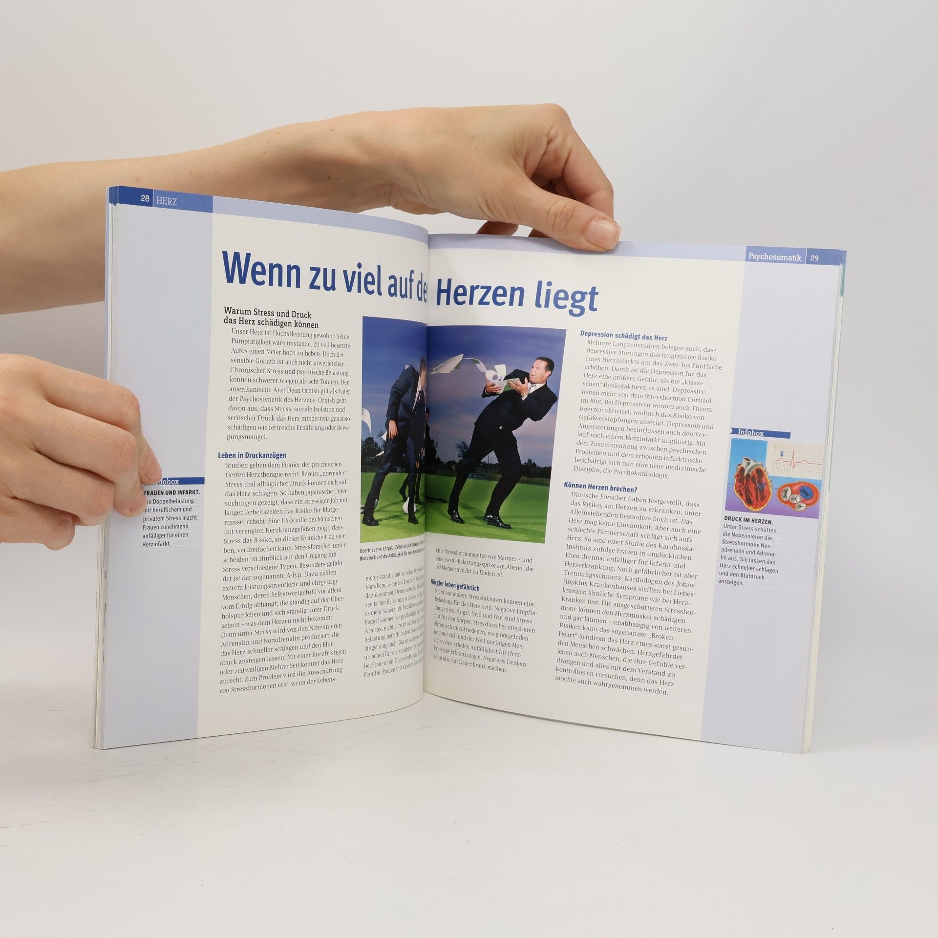 Autorenkollektiv Das große Herz Buch 3