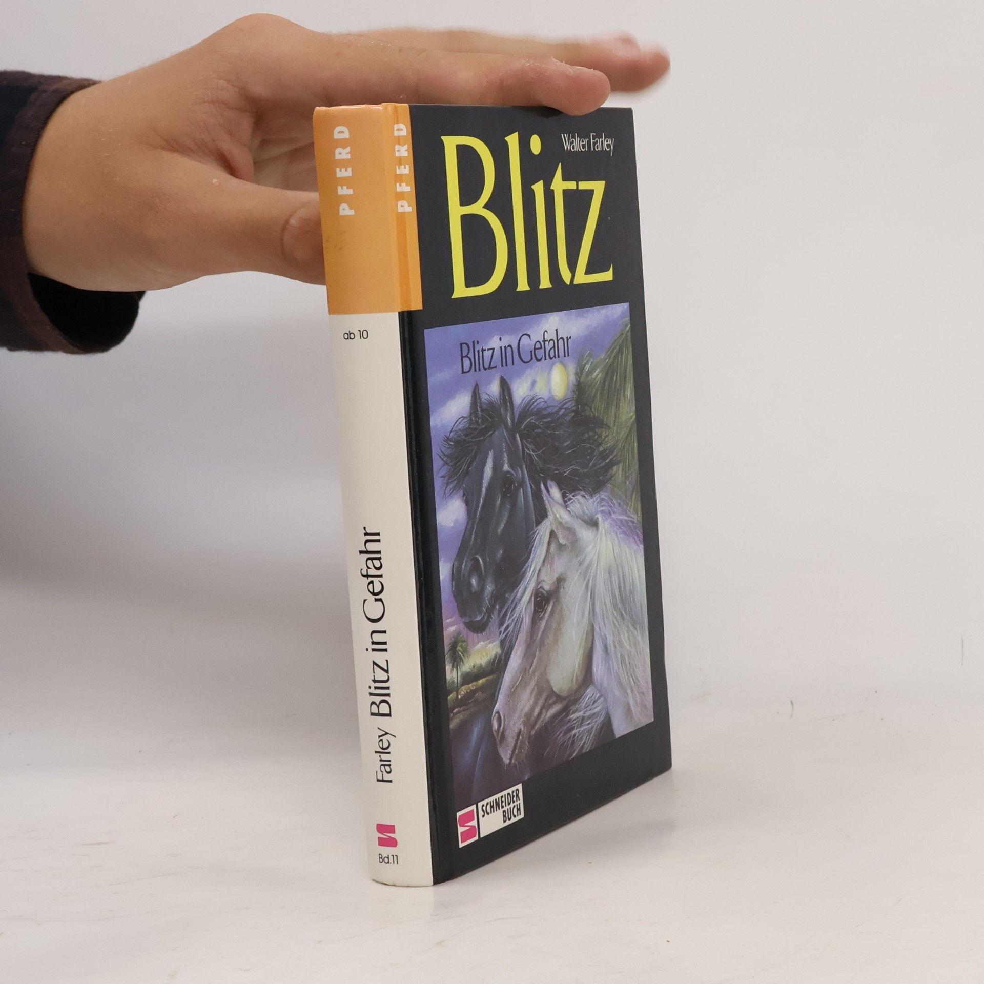 Walter Farley Blitz. Blitz in Gefahr