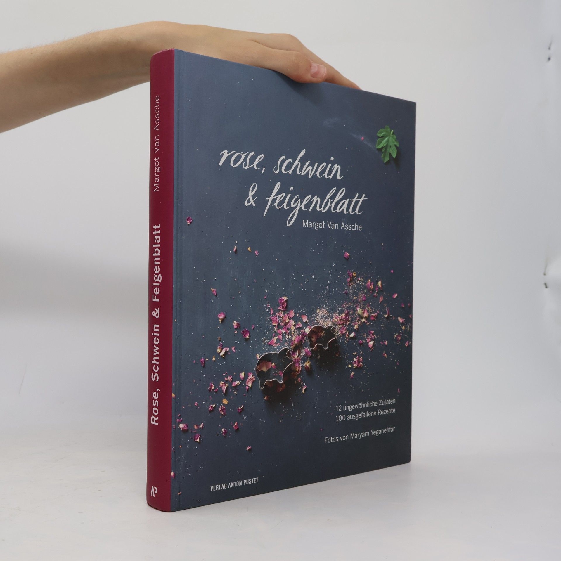 Maryam Yeganehfar Rose, Schwein & Feigenblatt
