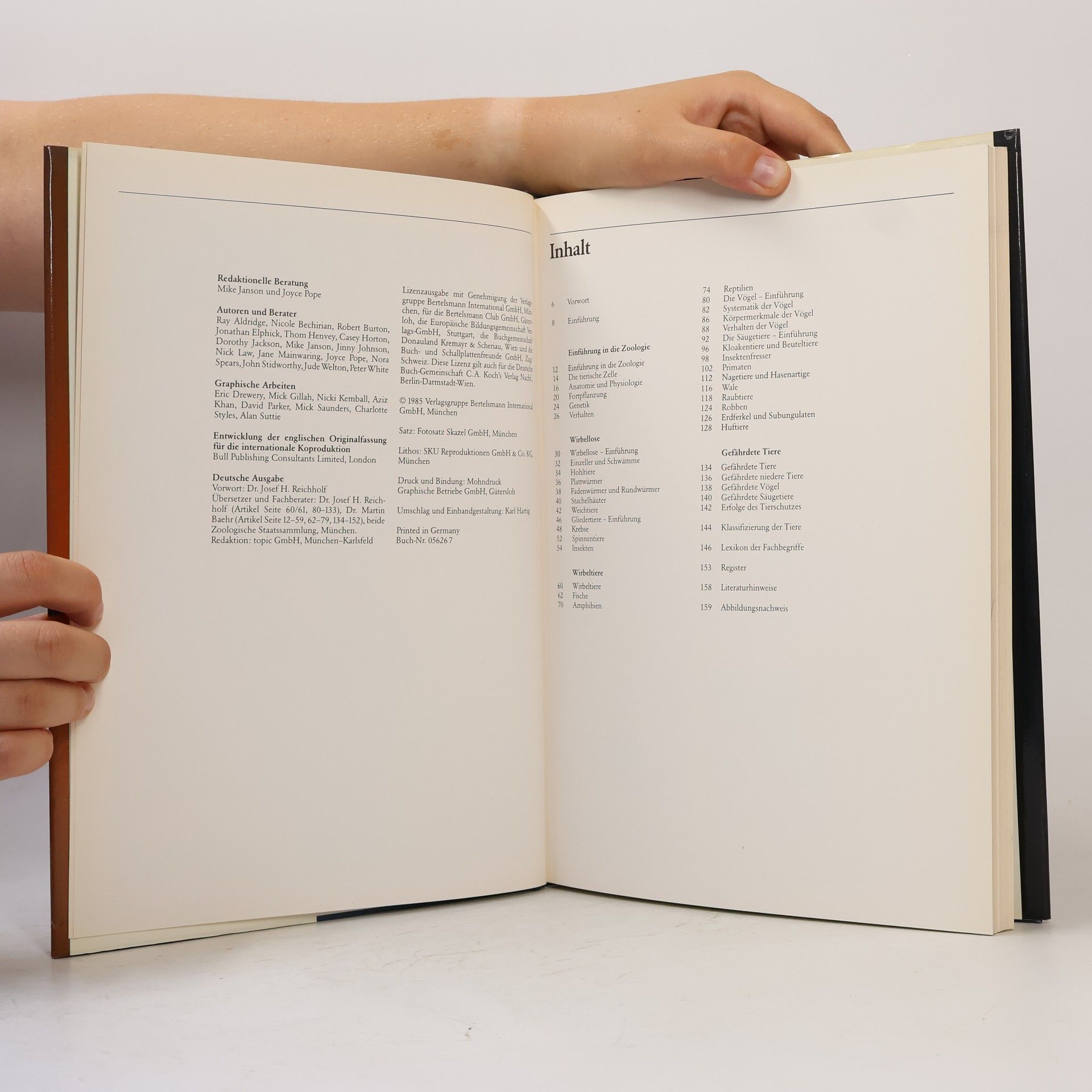 Autorenkollektiv Die Tiere. Entwicklung, Arten, Lebensräume