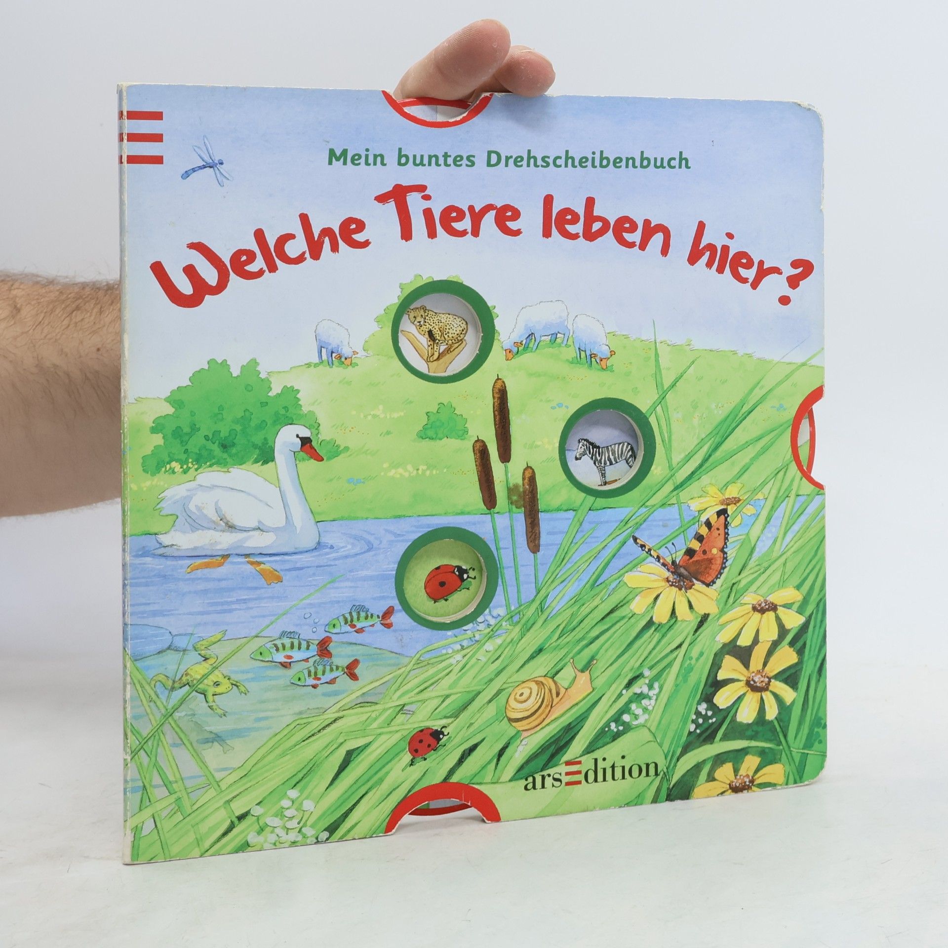 Welche Tiere leben hier?
