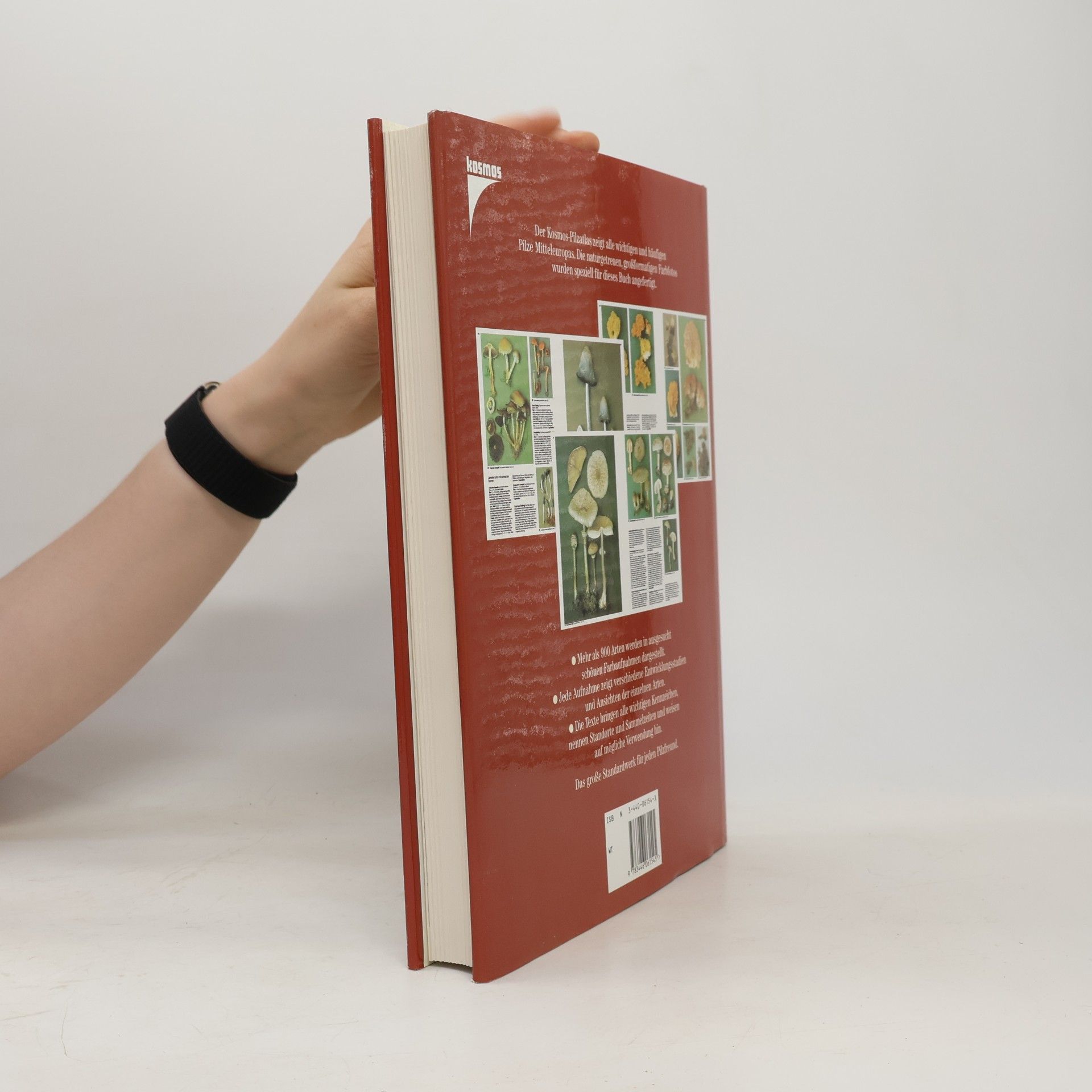 Roger Phillips Der Kosmos-Pilzatlas
