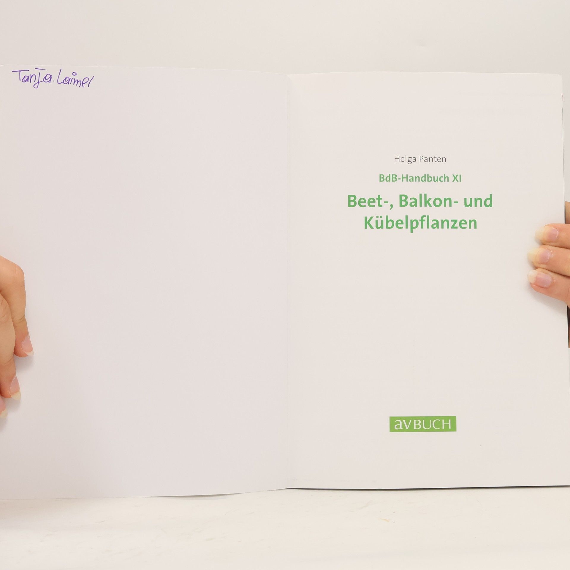 Helga Panten BdB-Handbuch - 11: Beet-, Balkon- und Kübelpflanzen