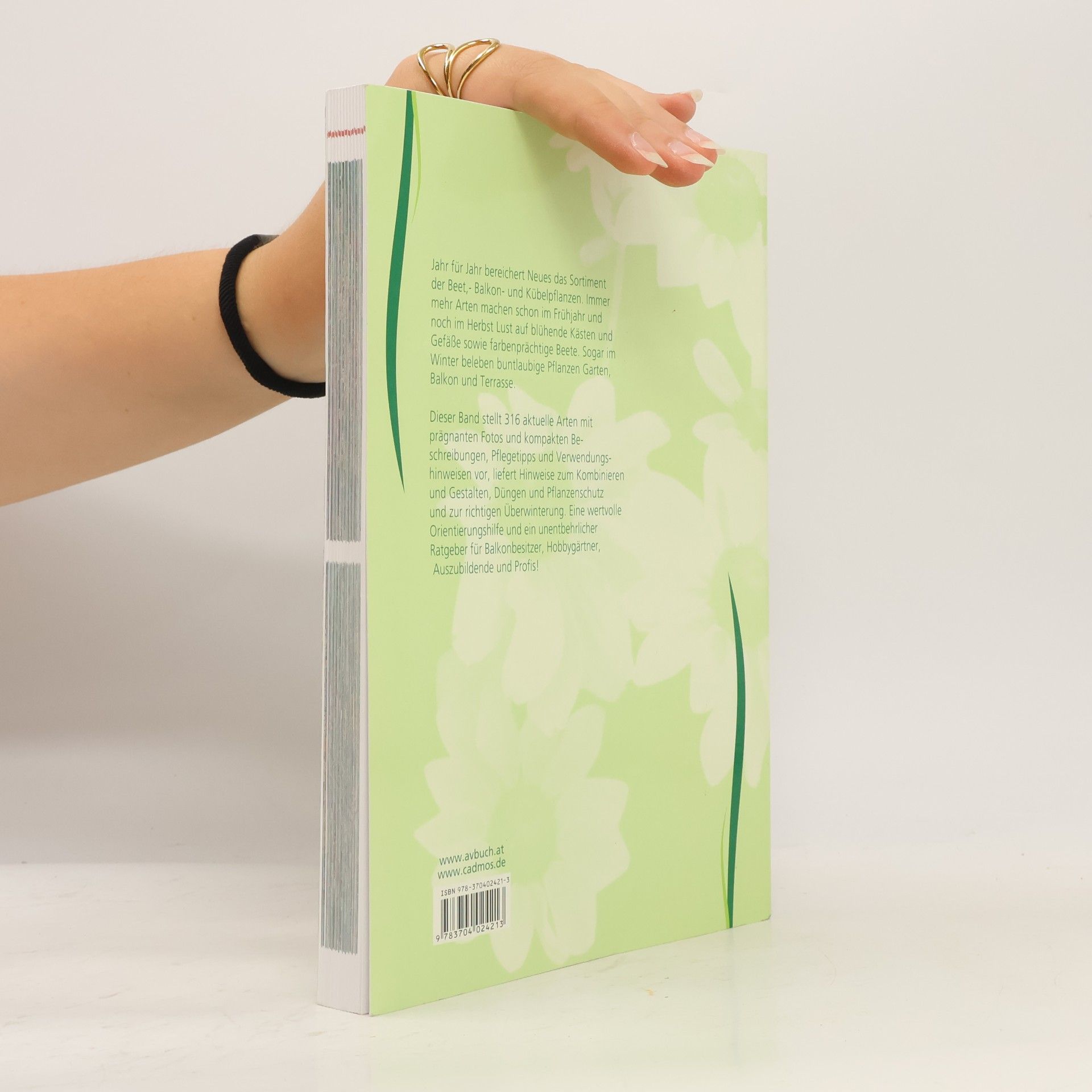 Helga Panten BdB-Handbuch - 11: Beet-, Balkon- und Kübelpflanzen