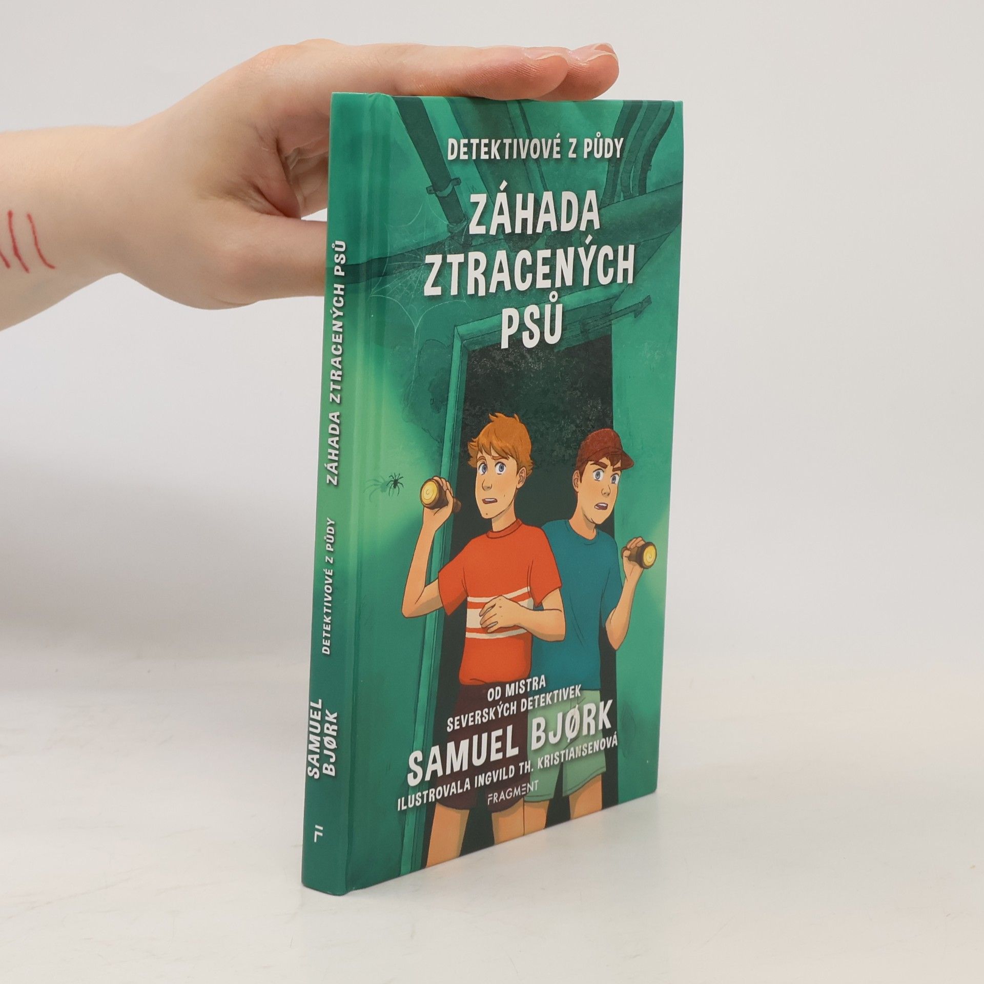 Samuel Bjork Záhada ztracených psů