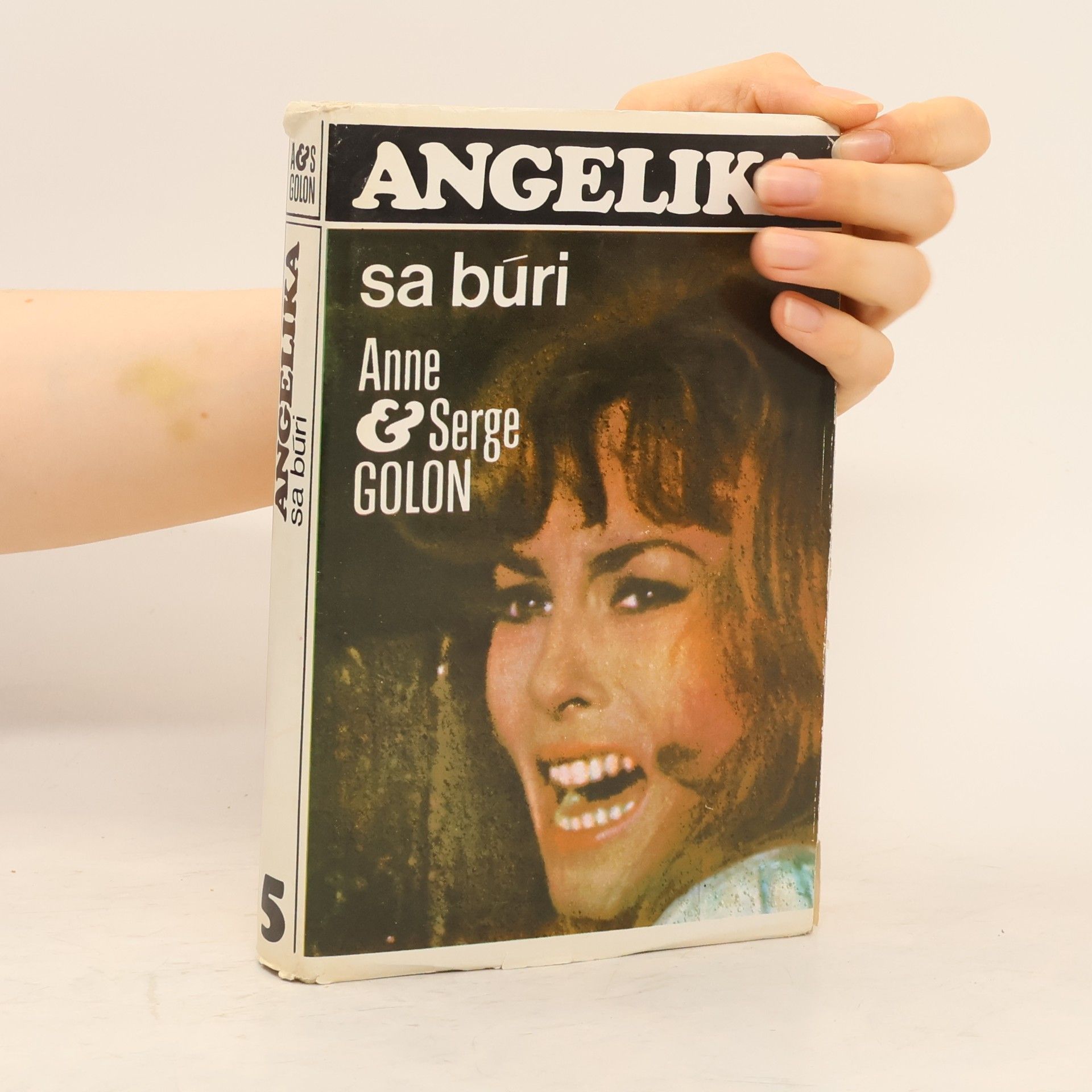 Anne Golon Angelika se búri
