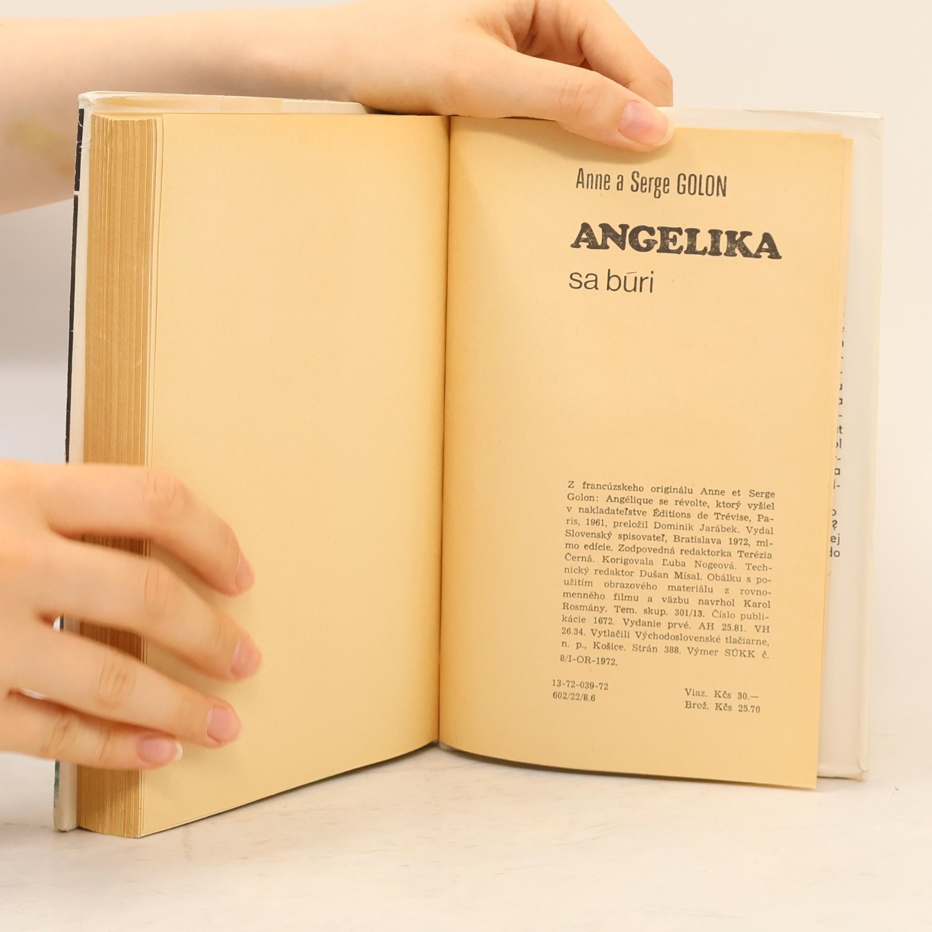 Anne Golon Angelika se búri