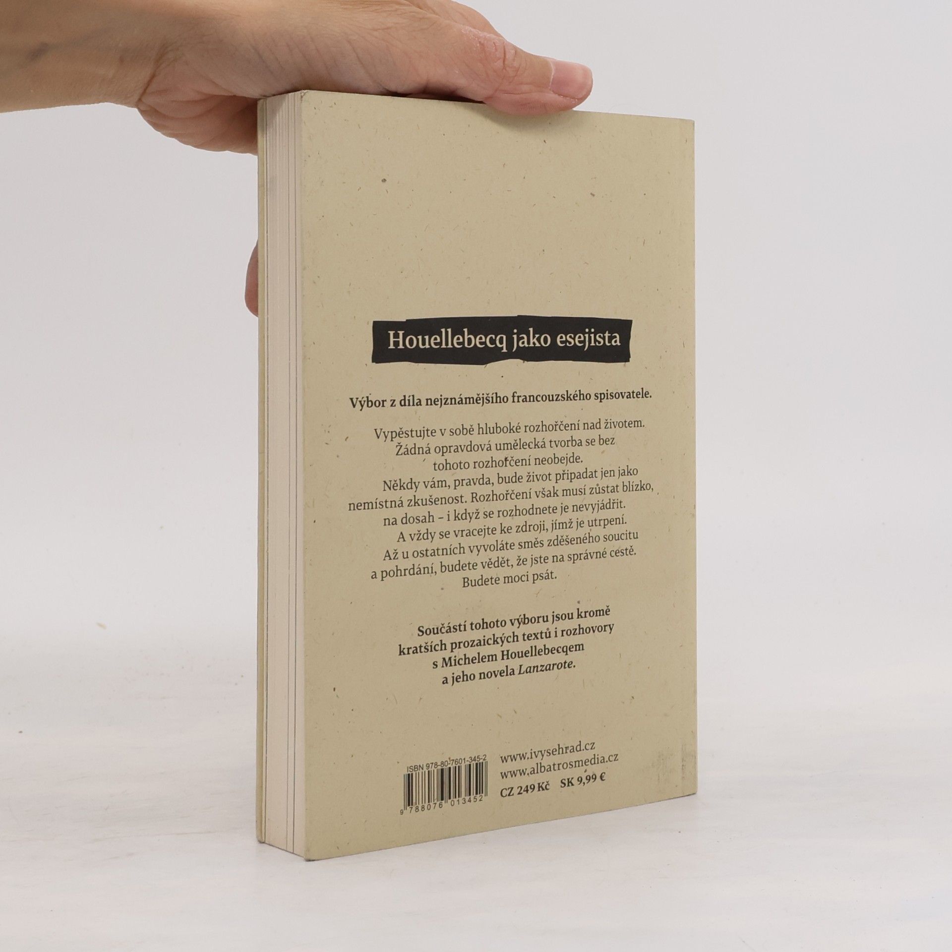 Michel Houellebecq Eseje