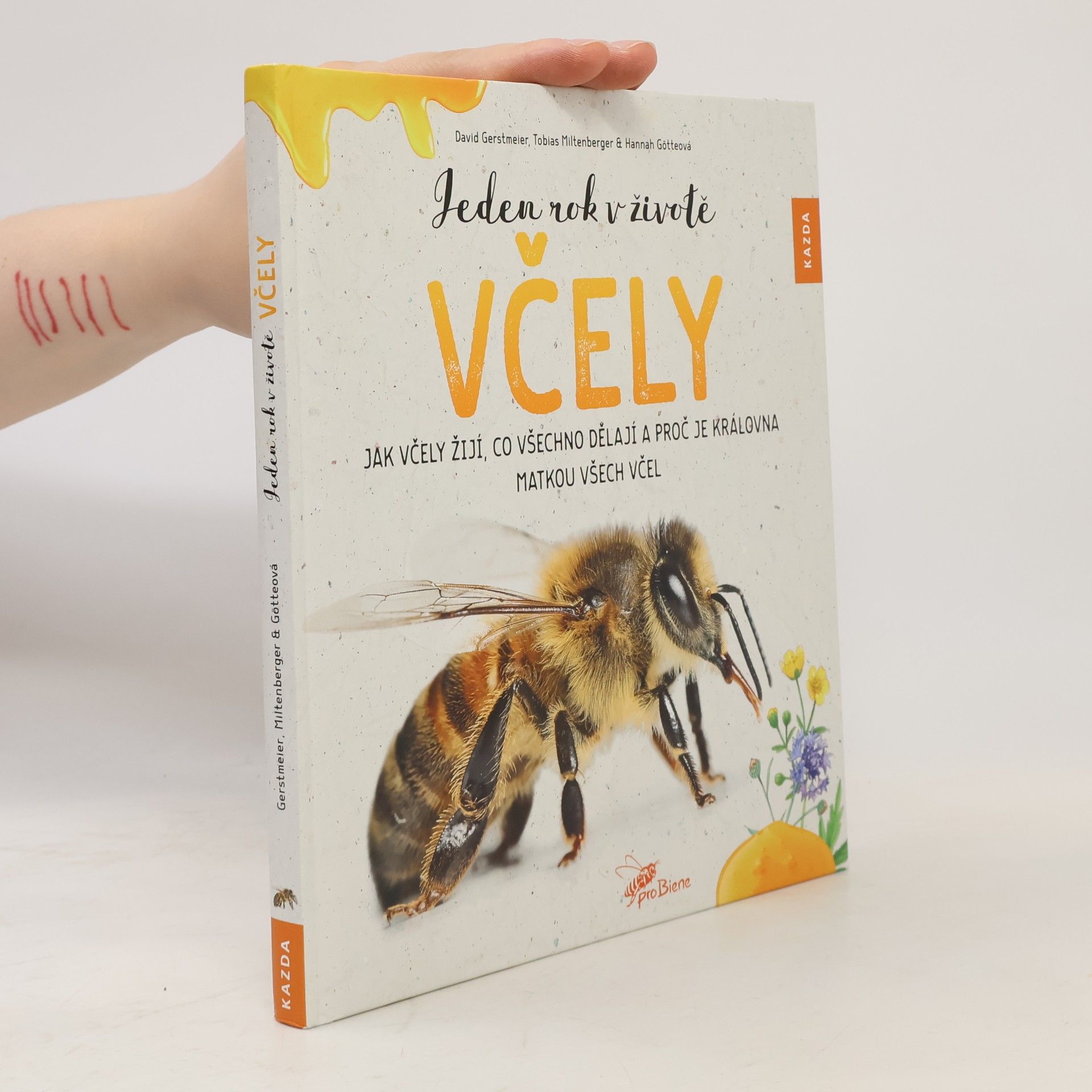 Tobias Miltenberger Jeden rok v životě včely
