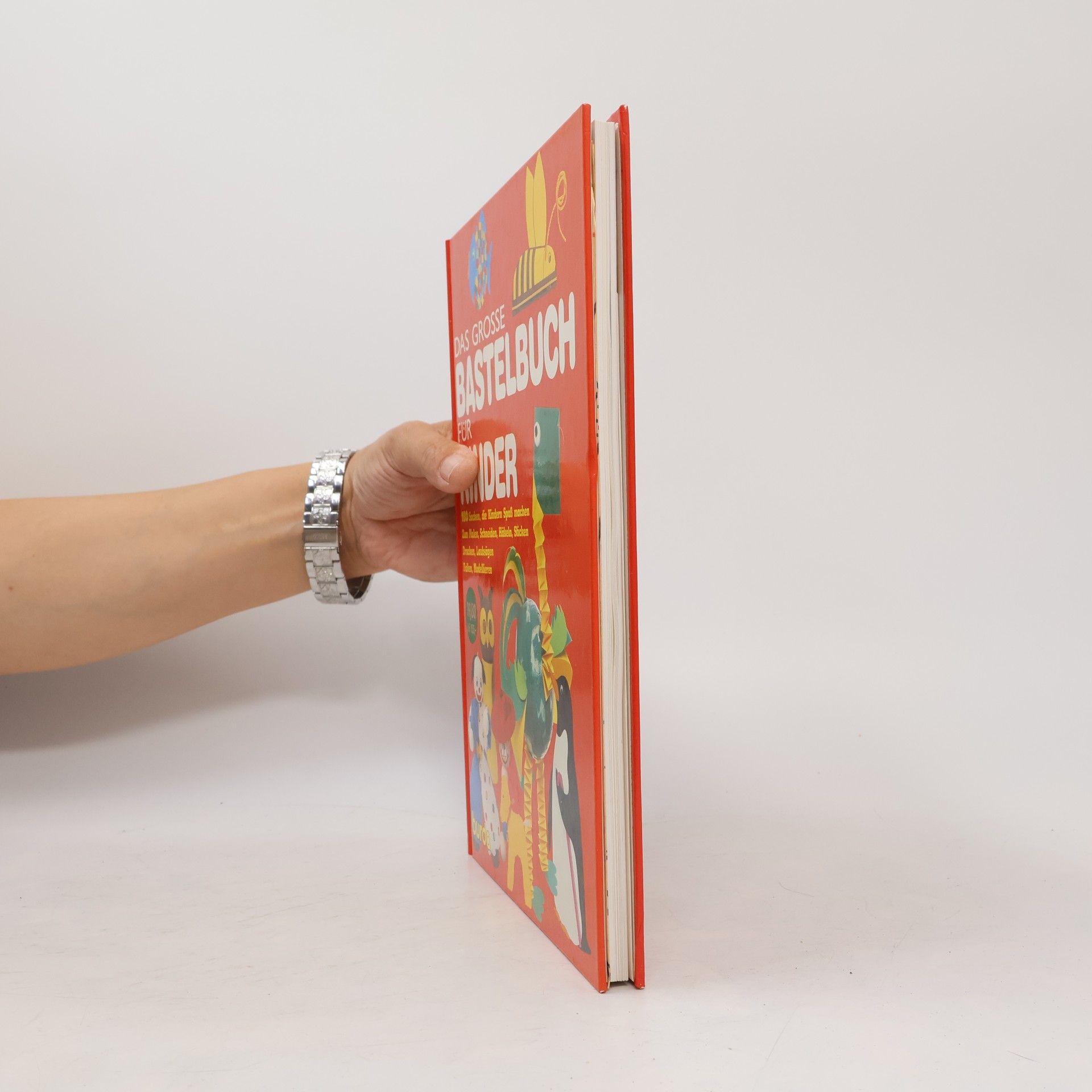 Kolektiv autorů Das grosse Bastelbuch für Kinder