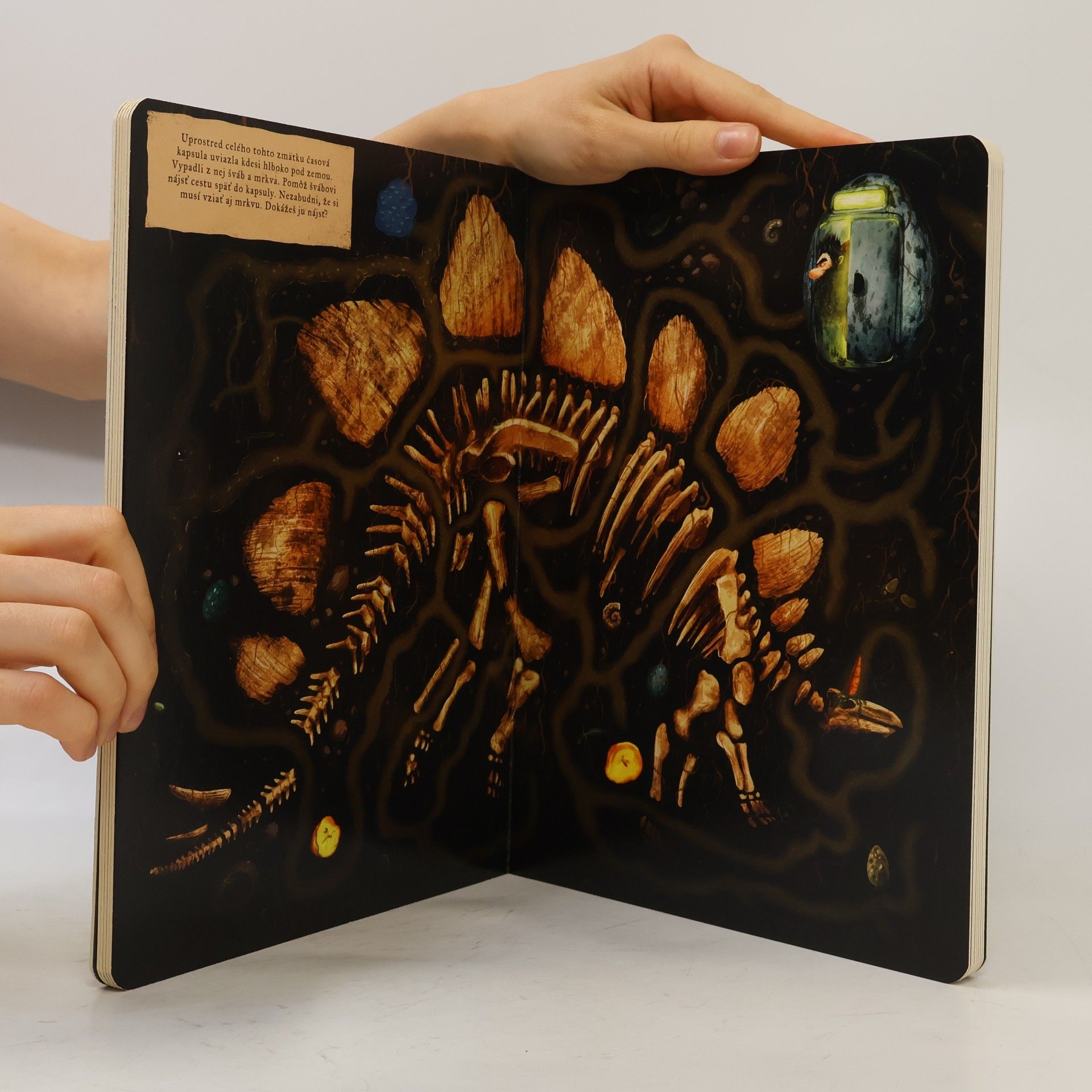 Emilia Dziubak Poviem ti, čo robia dinosaury