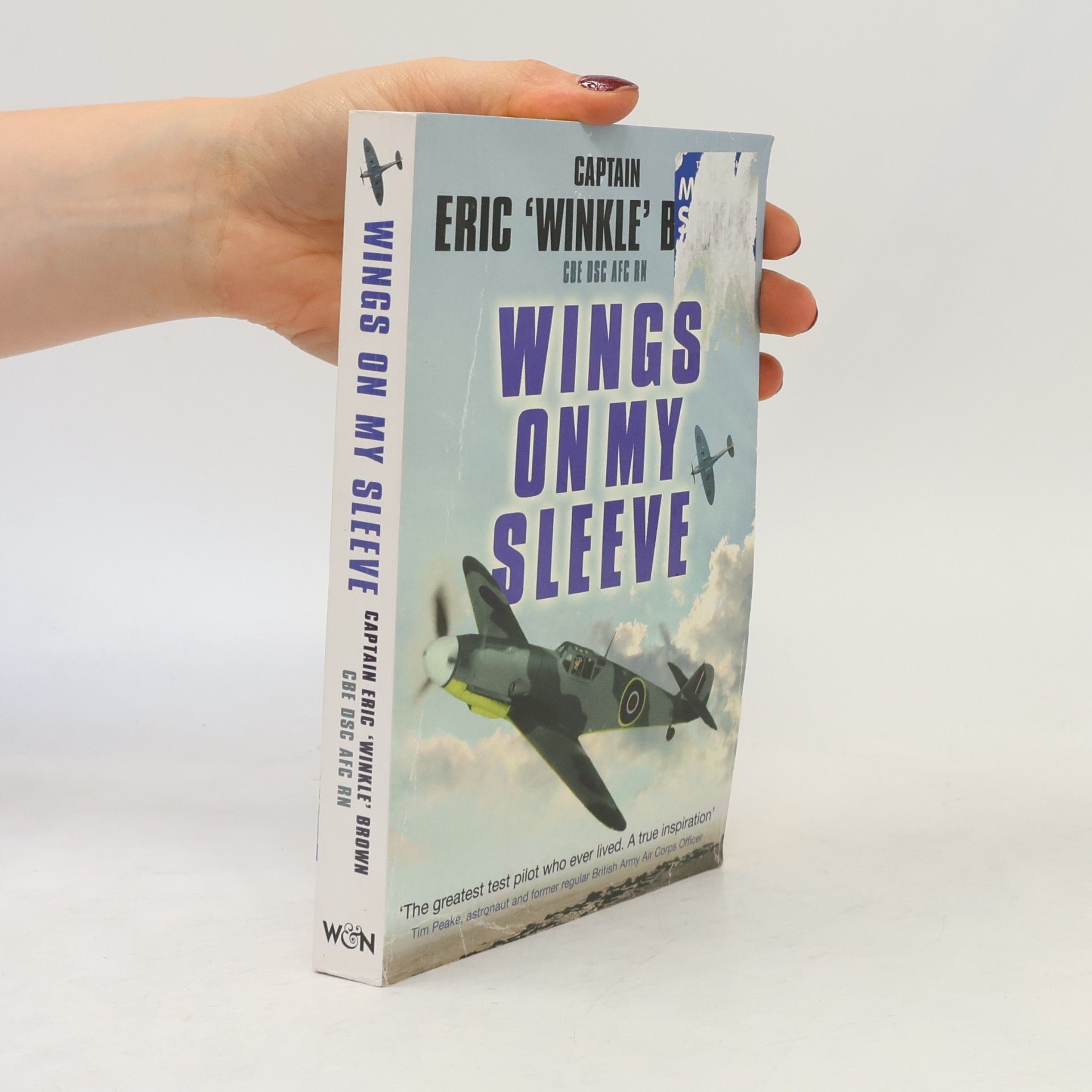 Eric Brown Wings on My Sleeve