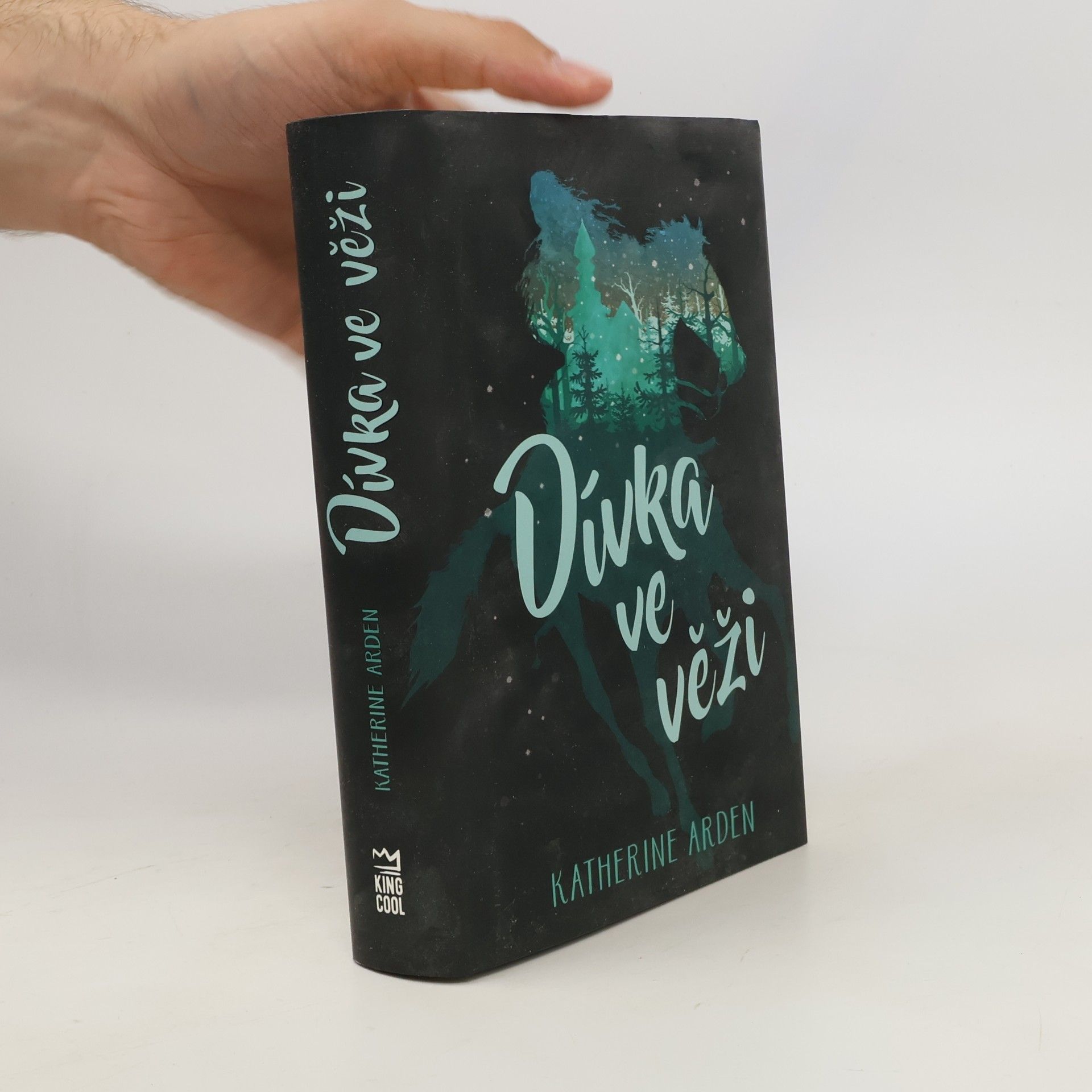 Katherine Arden Dívka ve věži