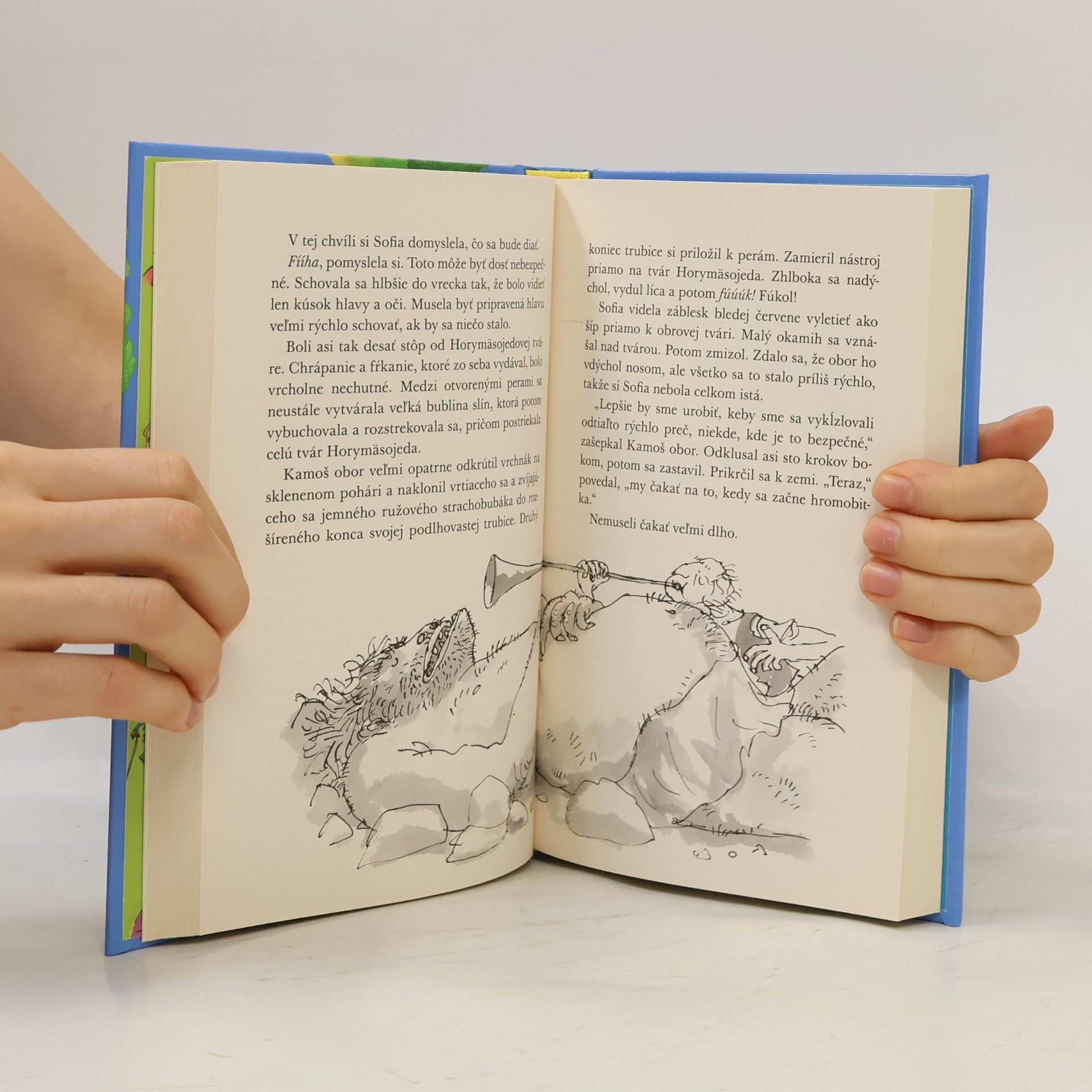 Roald Dahl Kamoš obor