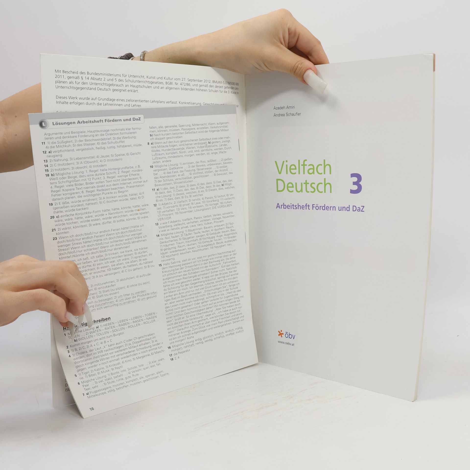 Autorenkollektiv Vielfach Deutsch. 3 : Arbeitsheft Fördern und DaZ