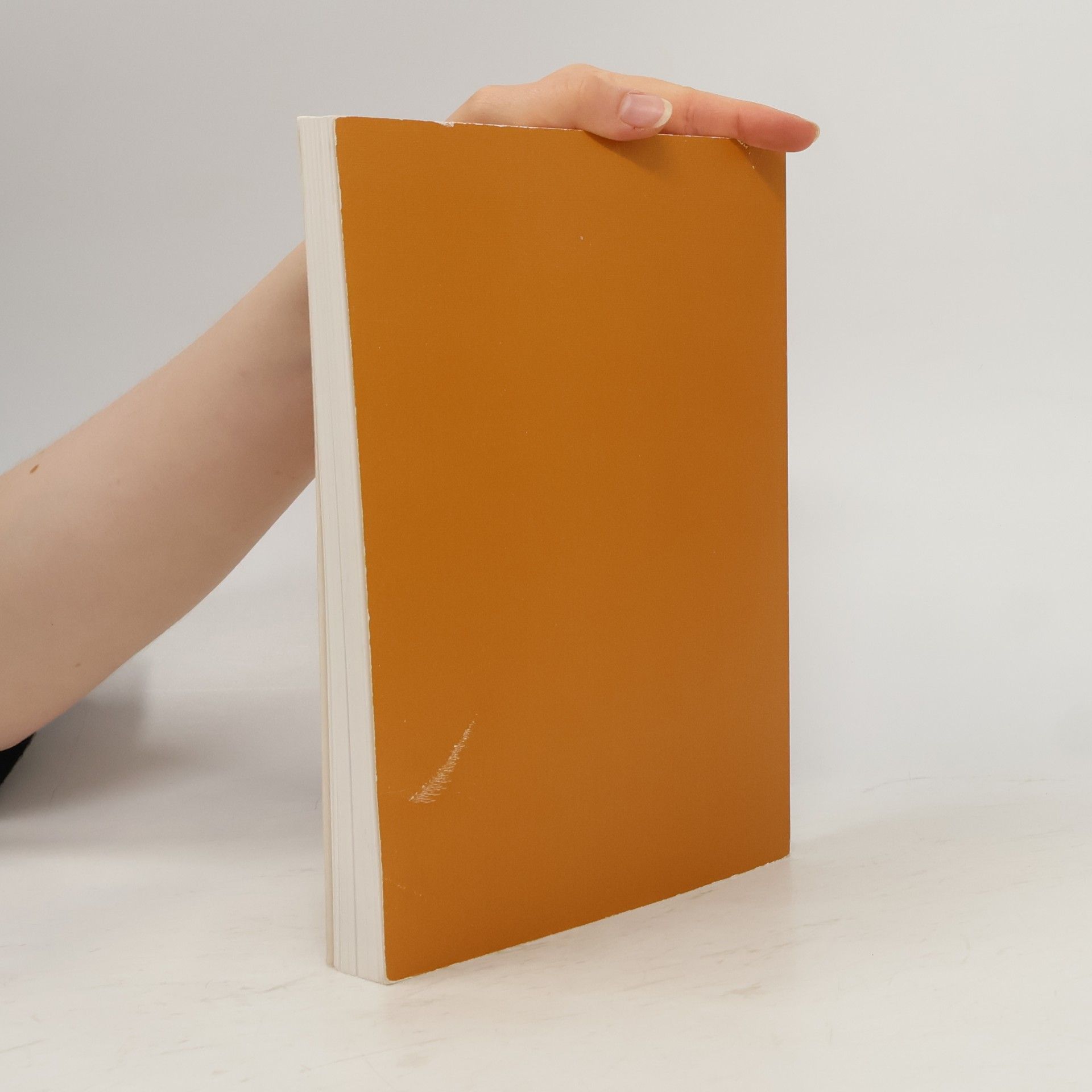 Stjepan Drilo Kroatisch - 2: Lehrbuch für Fortgeschrittene