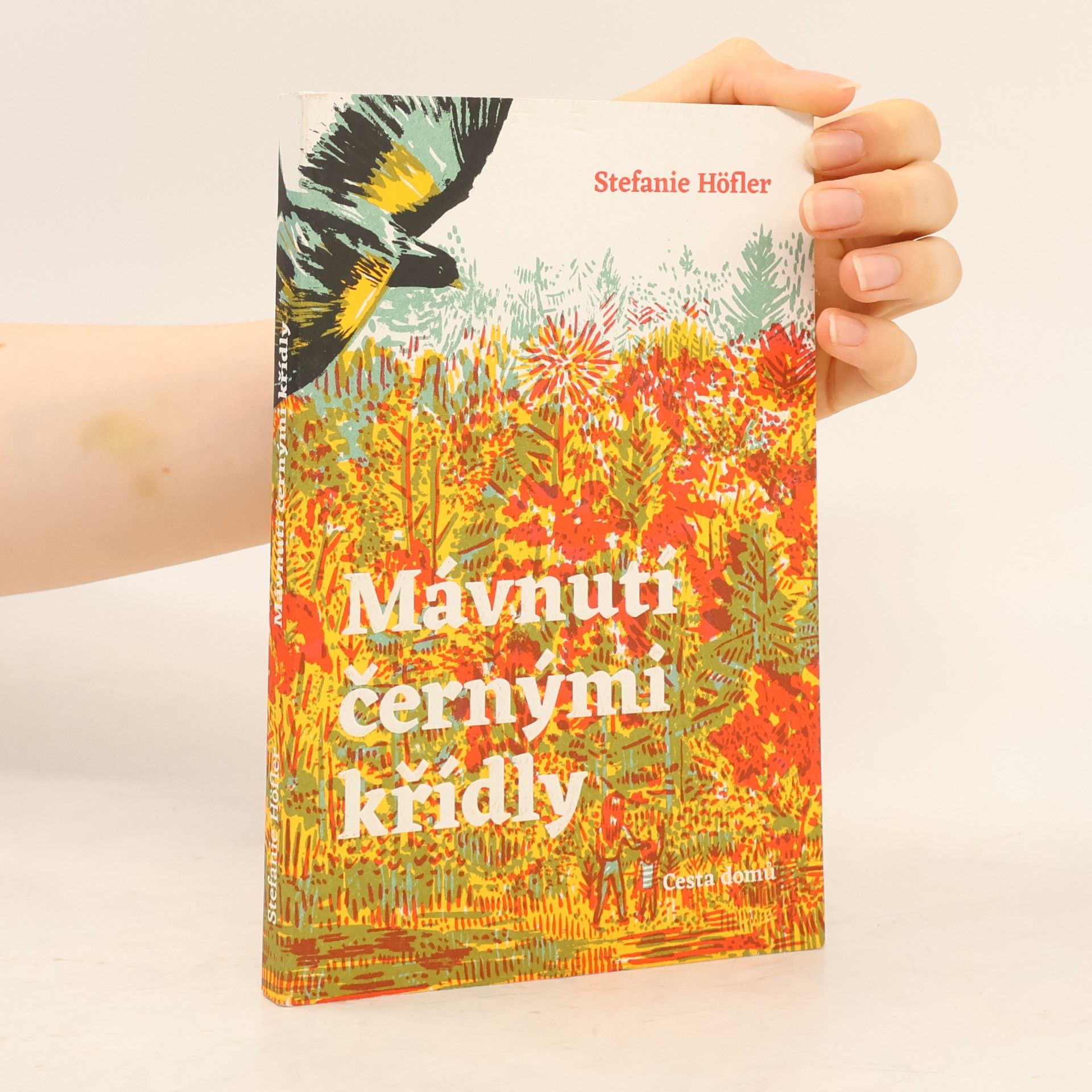 Stefanie Höfler Mávnutí černými křídly
