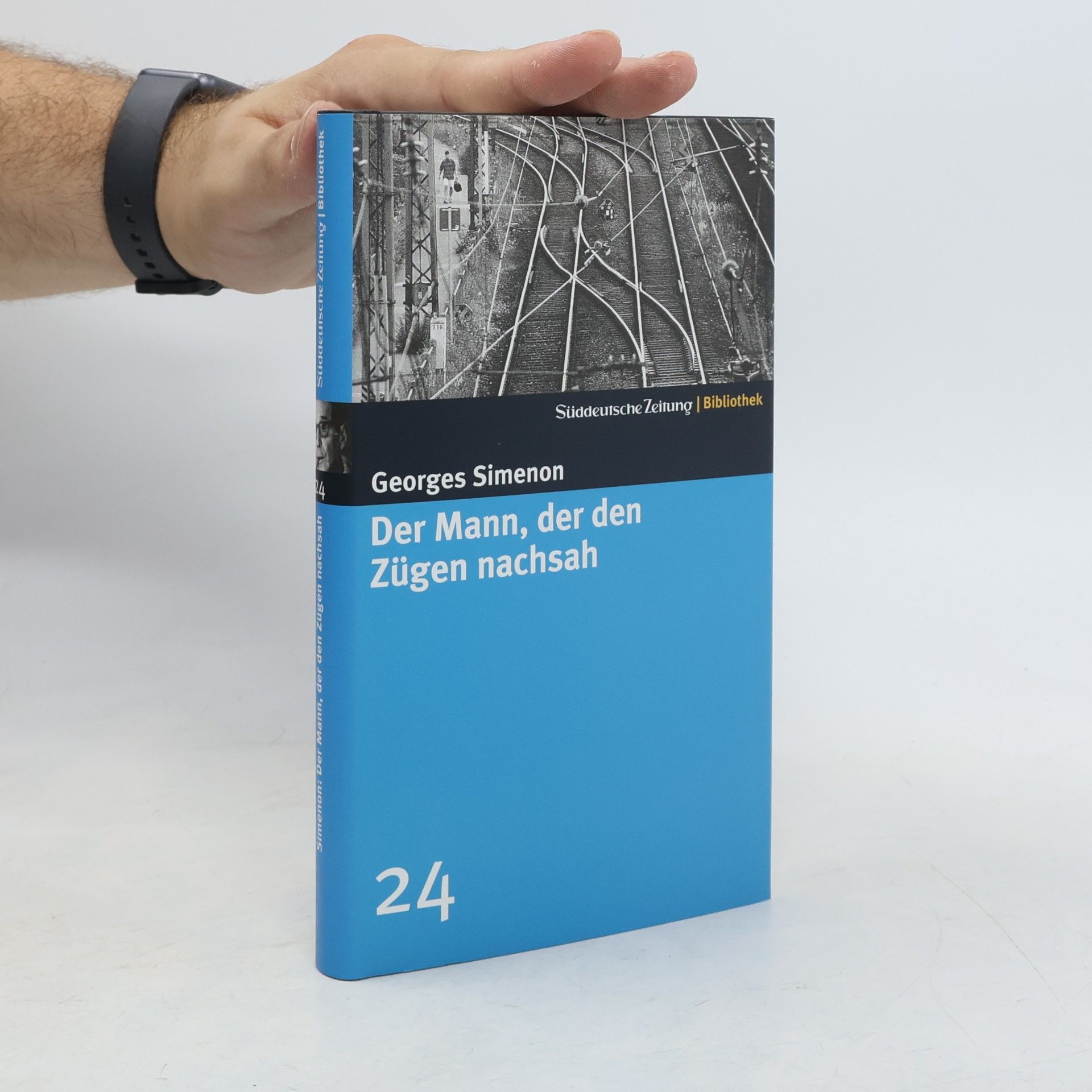 Georges Simenon Der Mann, der den Zügen nachsah