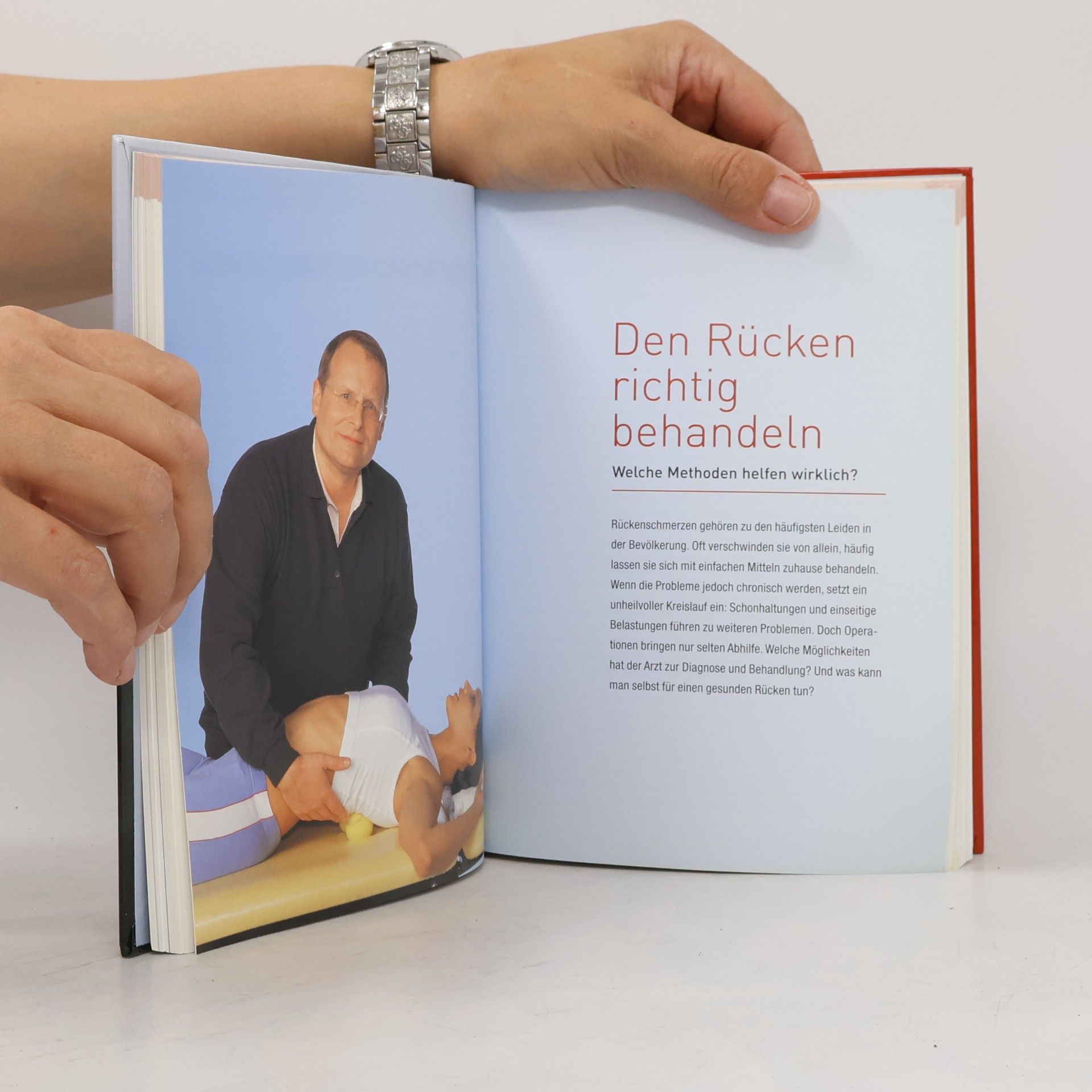 Dietrich Grönemeyer Mein Rückenbuch
