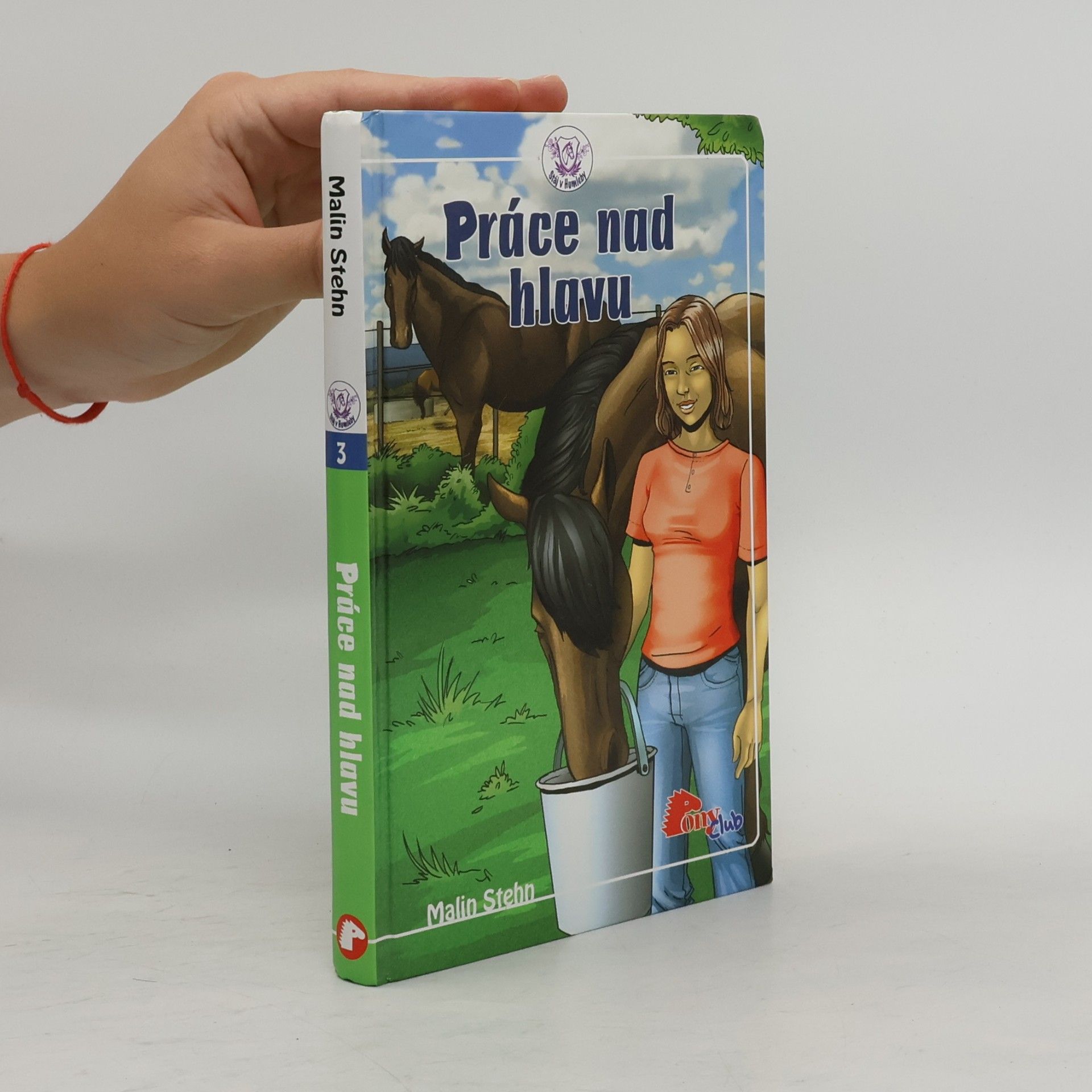Malin Stehn Práce nad hlavu