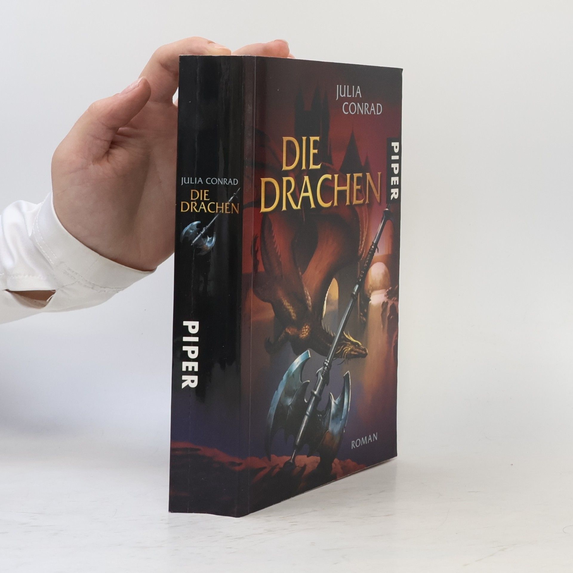 Die Drachen