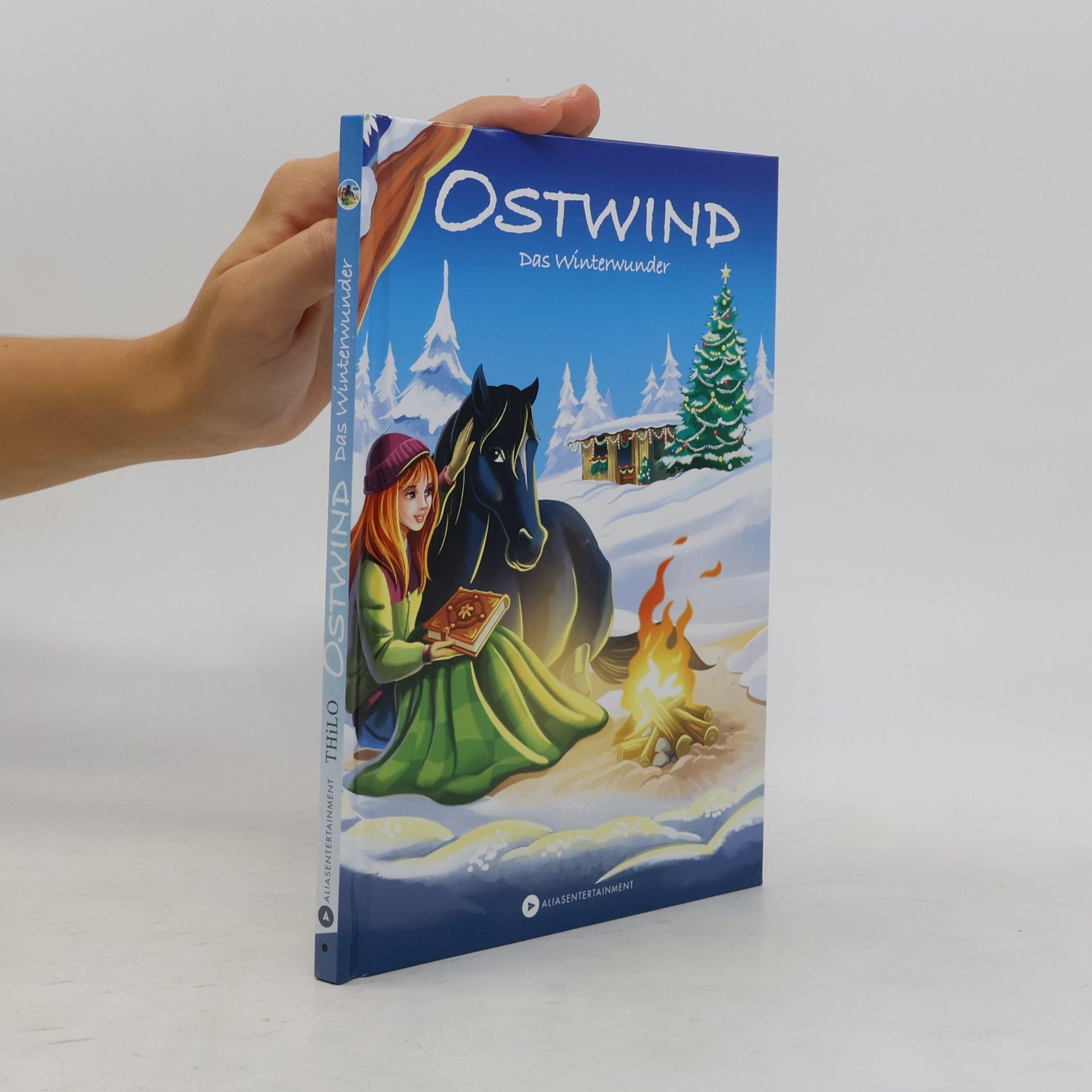 Thilo Petry-Lassak Ostwind - Das Winterwunder
