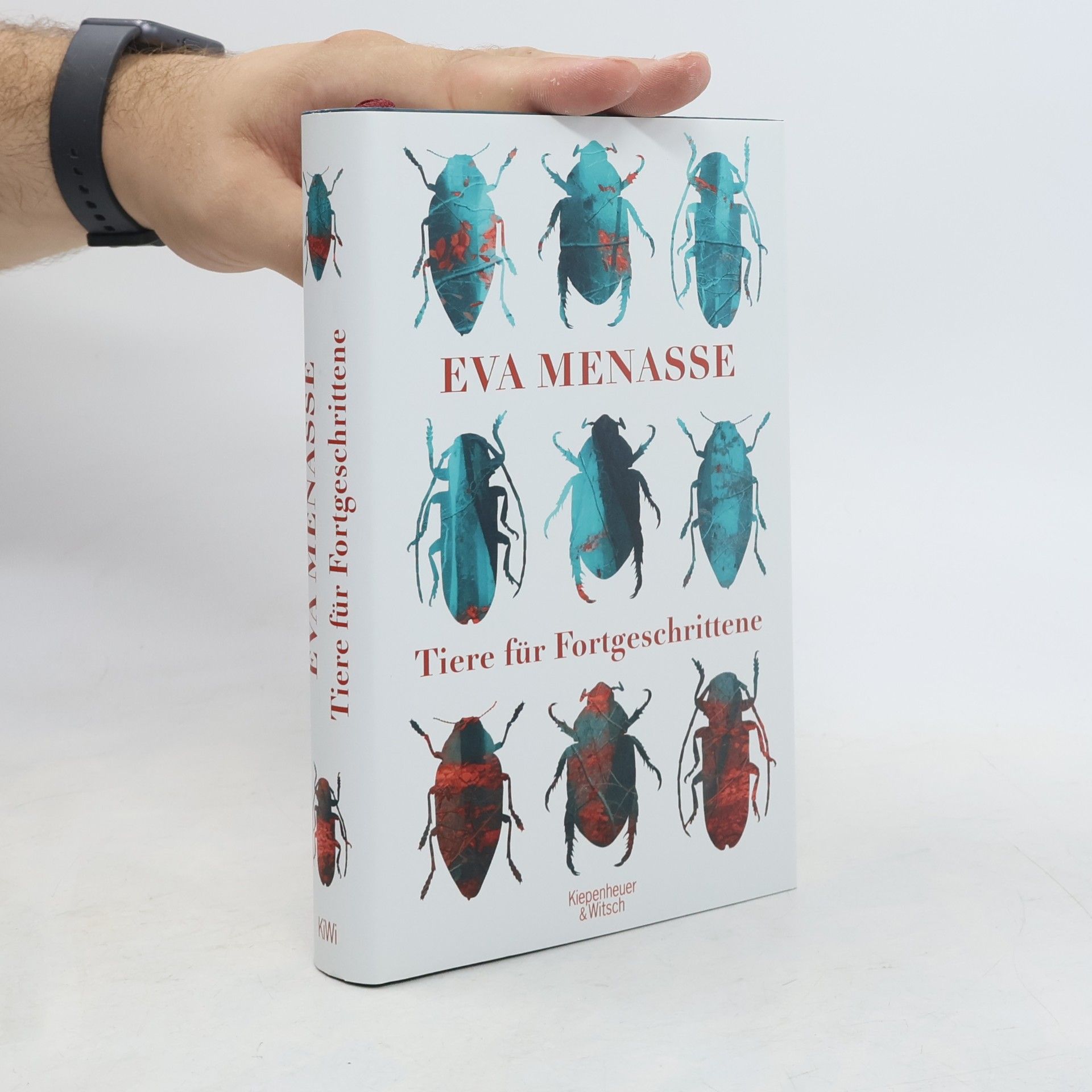 Eva Menasse Tiere für Fortgeschrittene