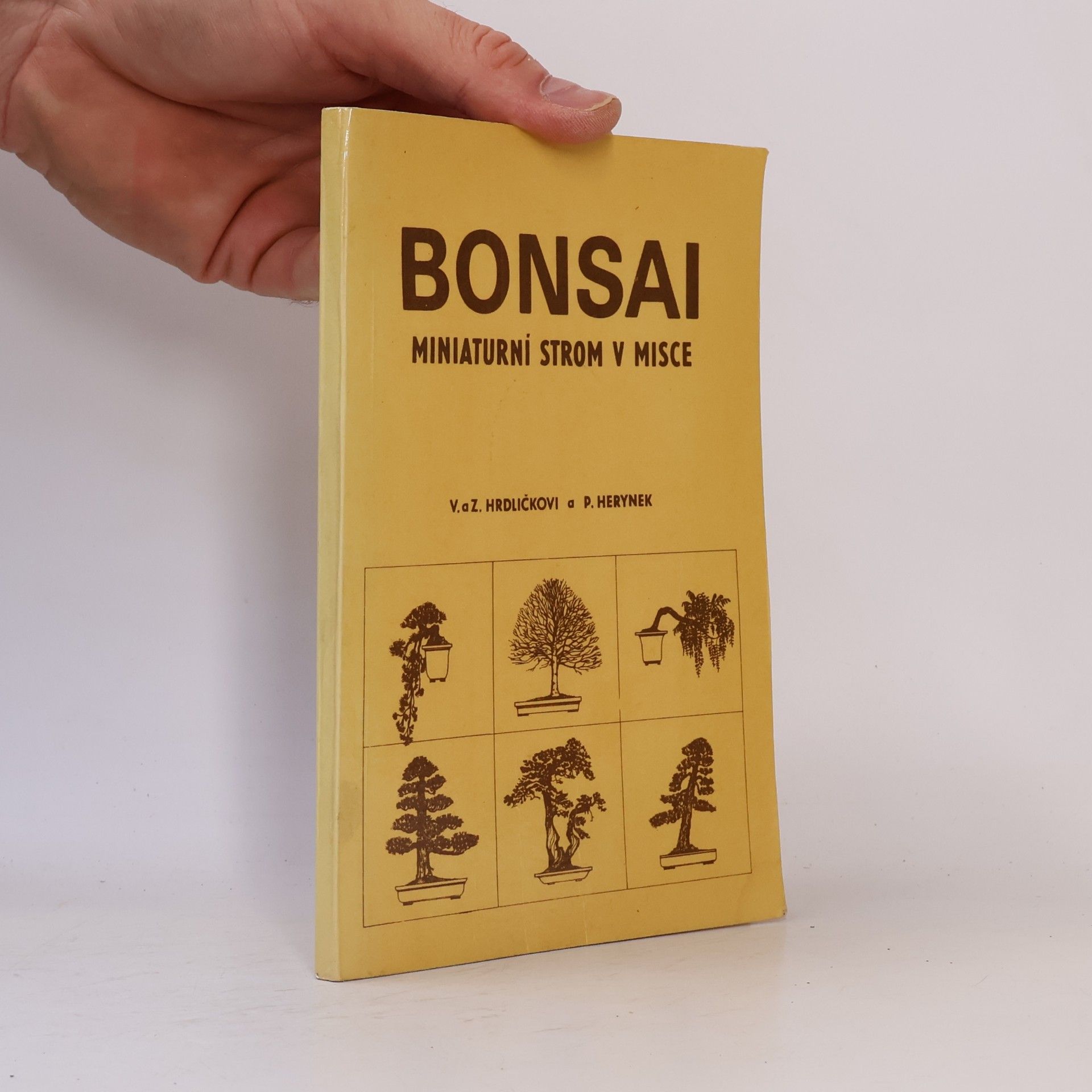Bonsai. Miniaturní strom v misce
