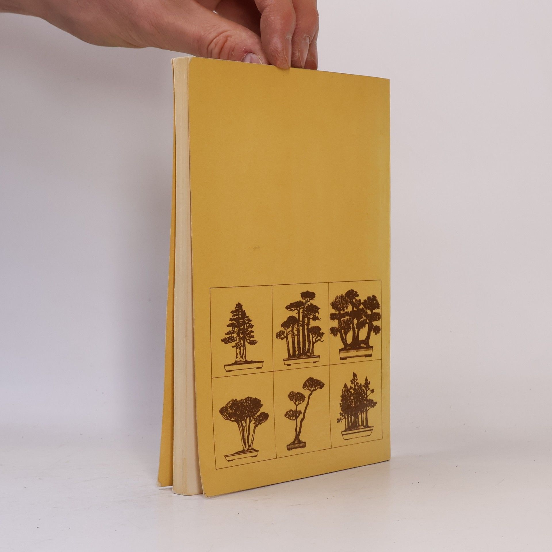 Zdeněk Hrdlička Bonsai. Miniaturní strom v misce