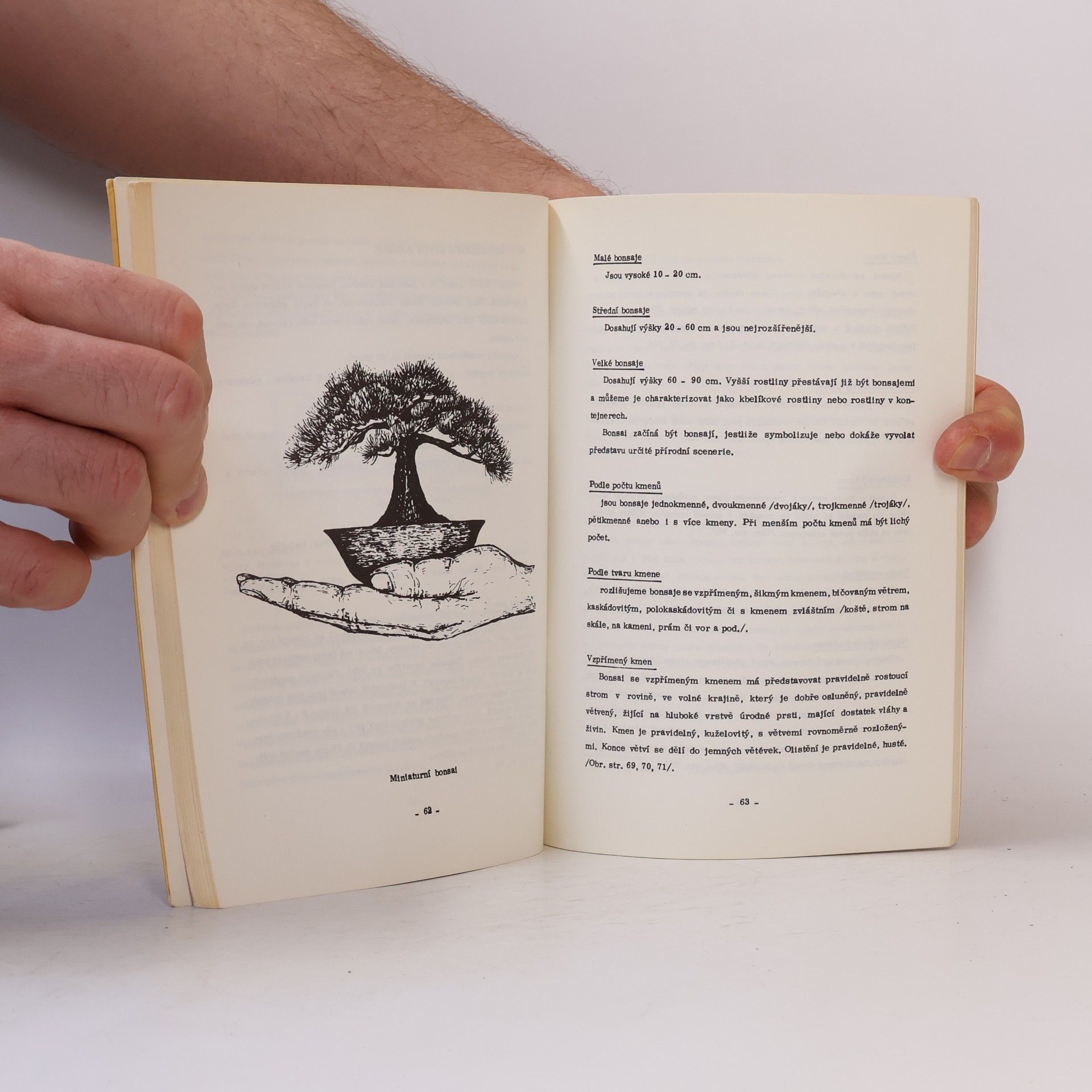 Zdeněk Hrdlička Bonsai. Miniaturní strom v misce