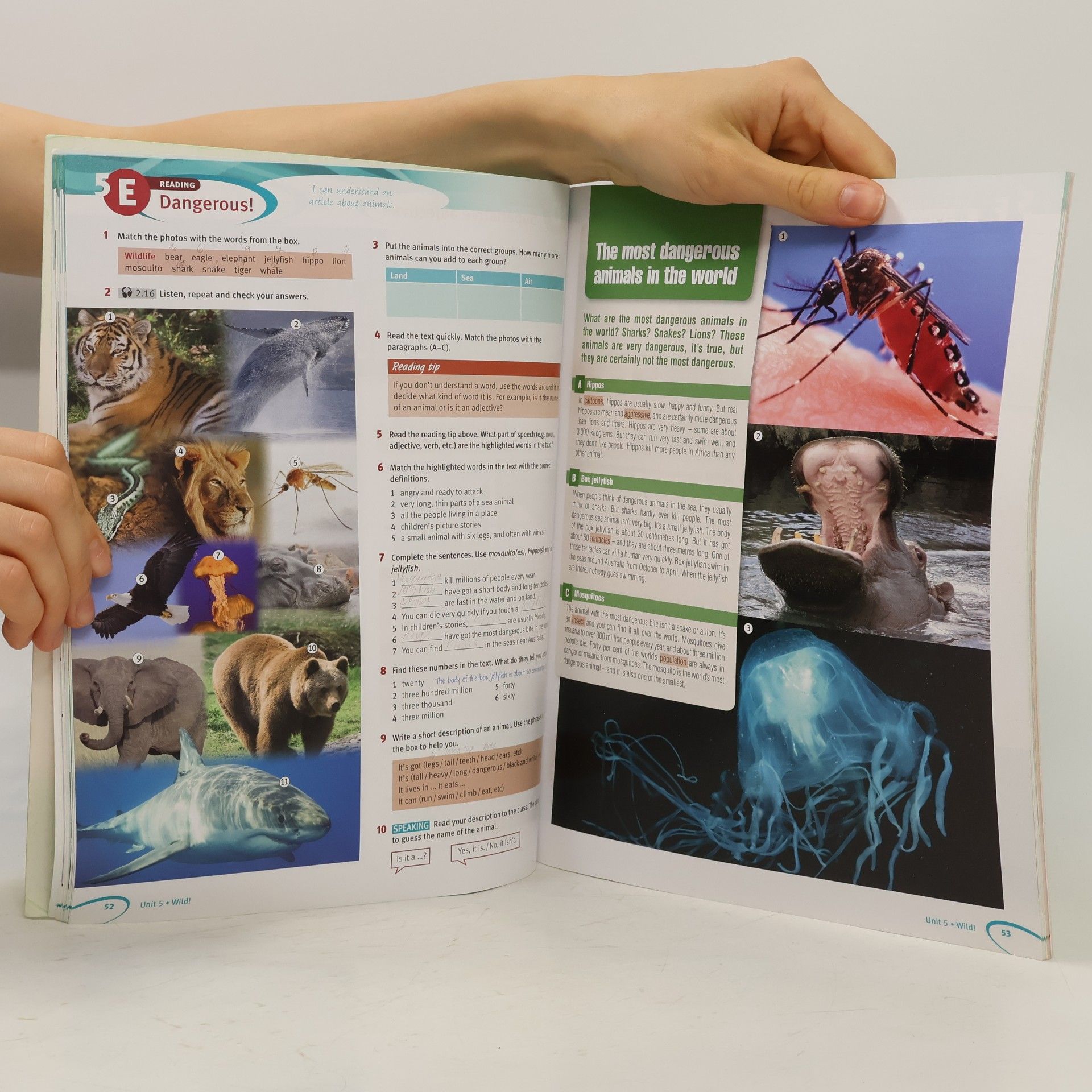Tim Falla Maturita Solutions: elementary: student’s book