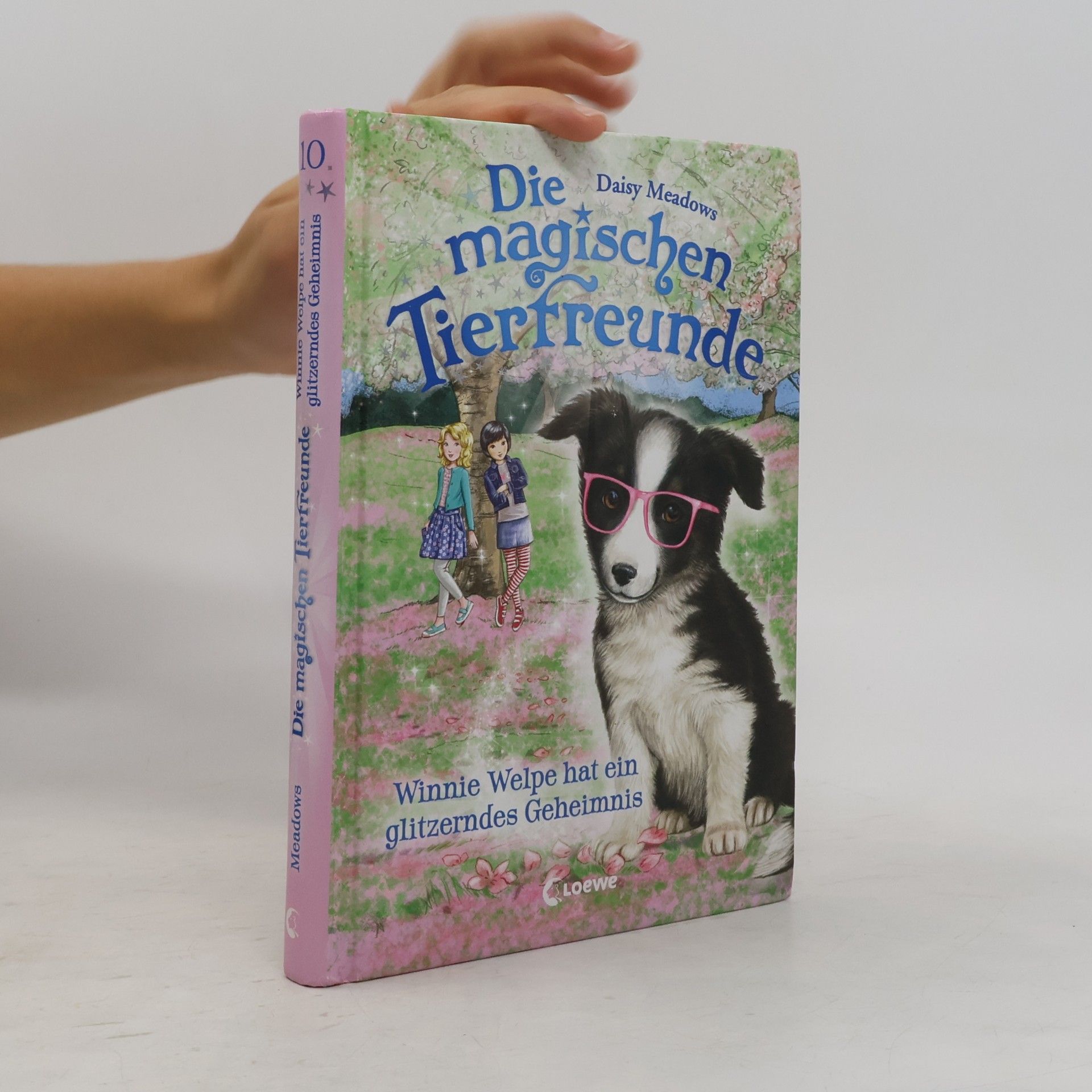 Daisy Meadows Winnie Welpe hat ein glitzerndes Geheimnis
