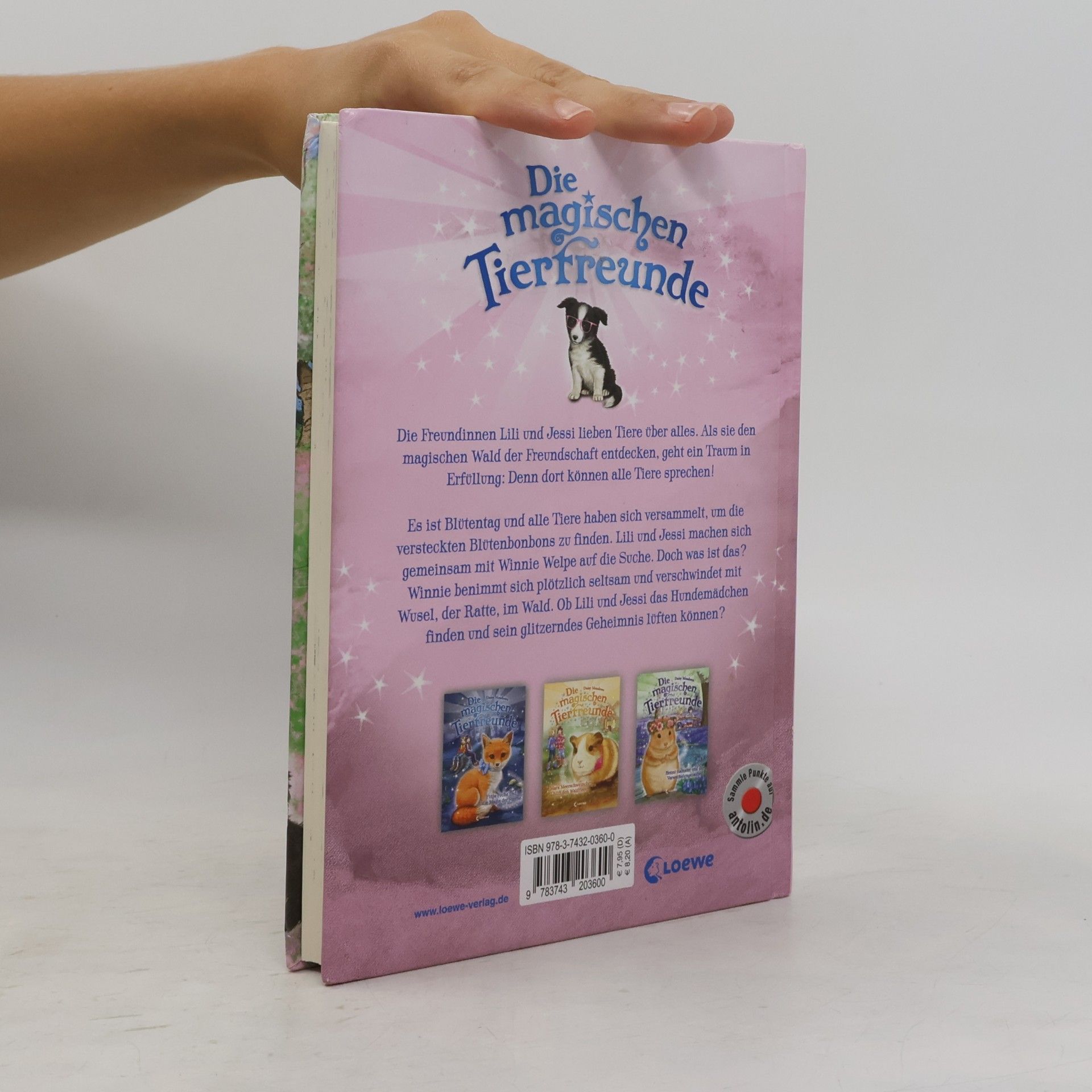 Daisy Meadows Winnie Welpe hat ein glitzerndes Geheimnis