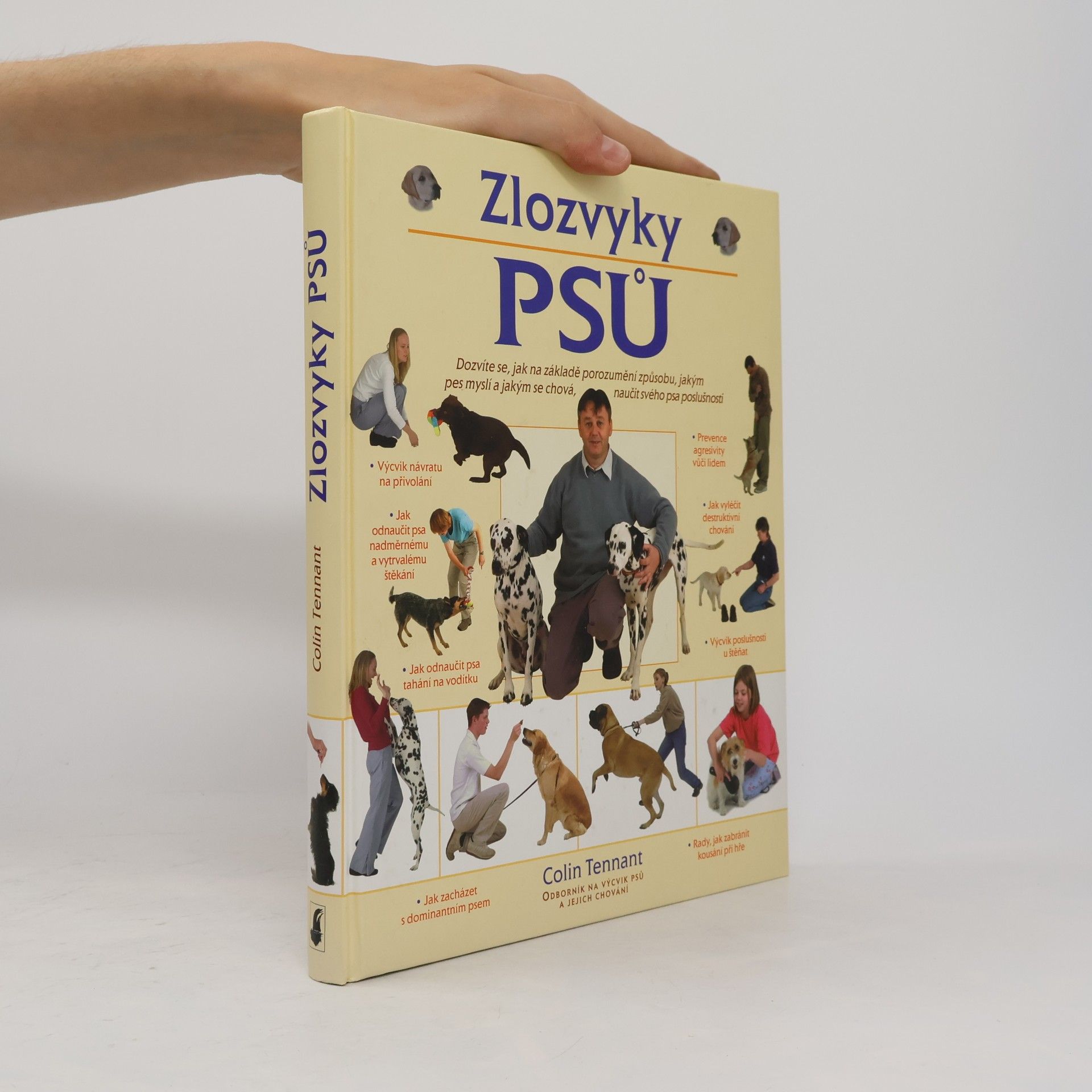 Zlozvyky psů