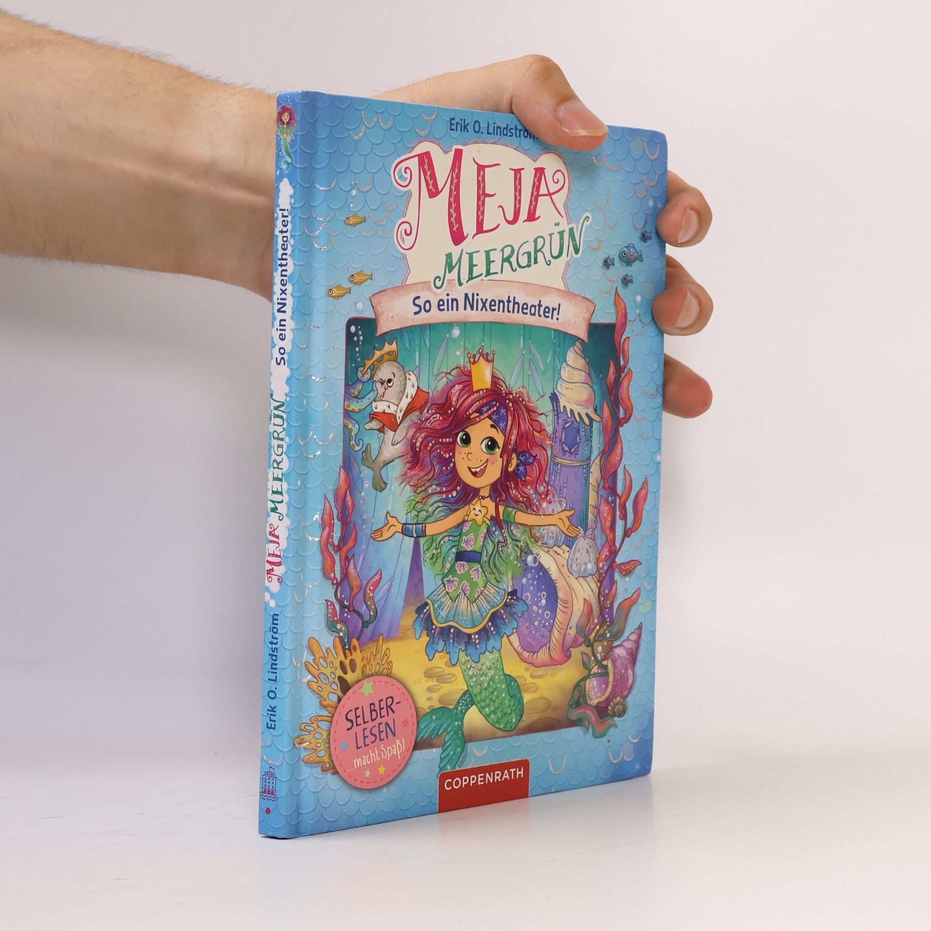 Erik Ole Lindström Meja Meergrün (Leseanfänger, Bd. 3)