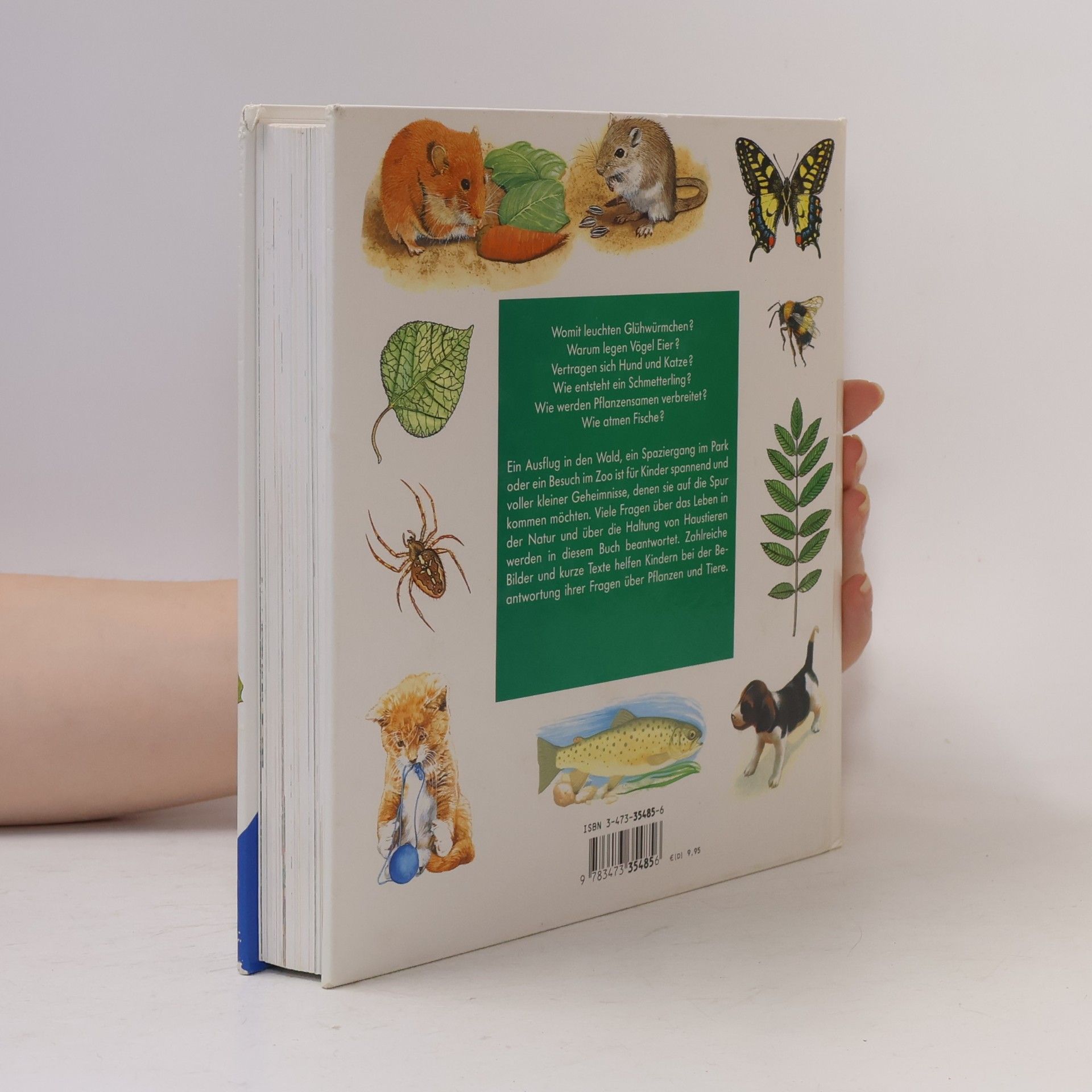 Ravensburger Buchverlag Alles was ich wissen will