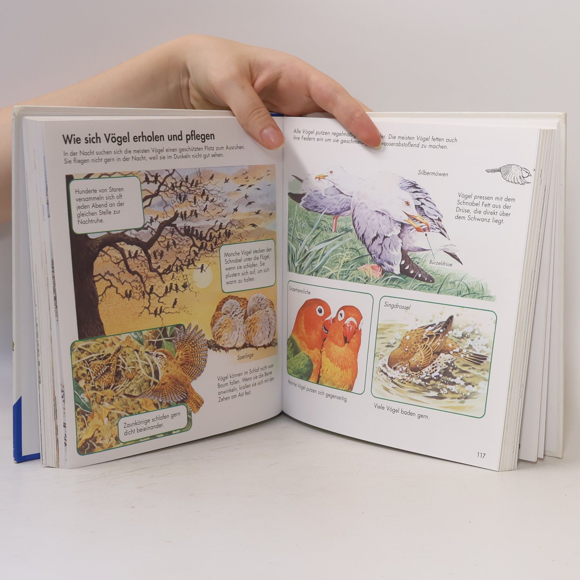 Ravensburger Buchverlag Alles was ich wissen will