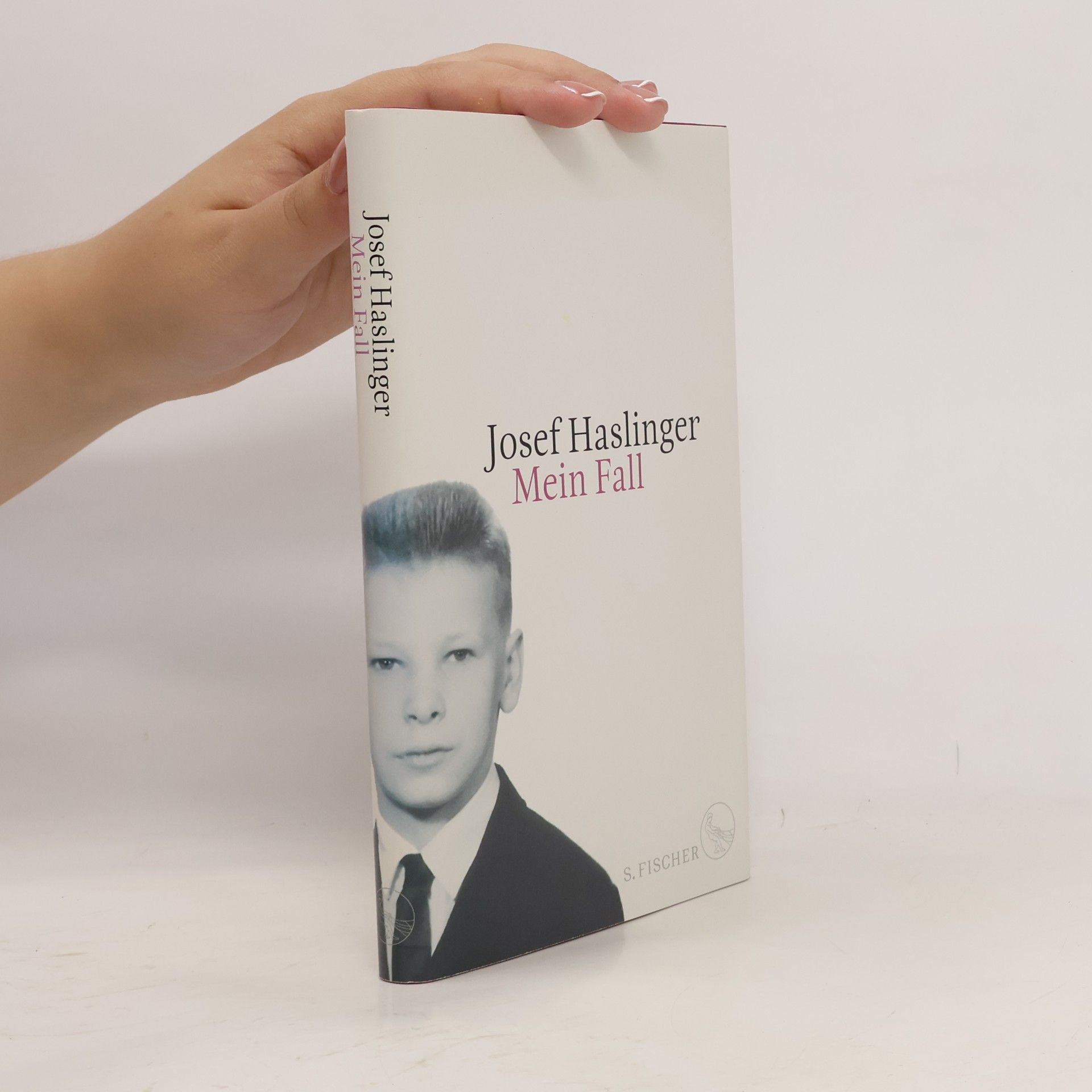 Josef Haslinger Mein Fall