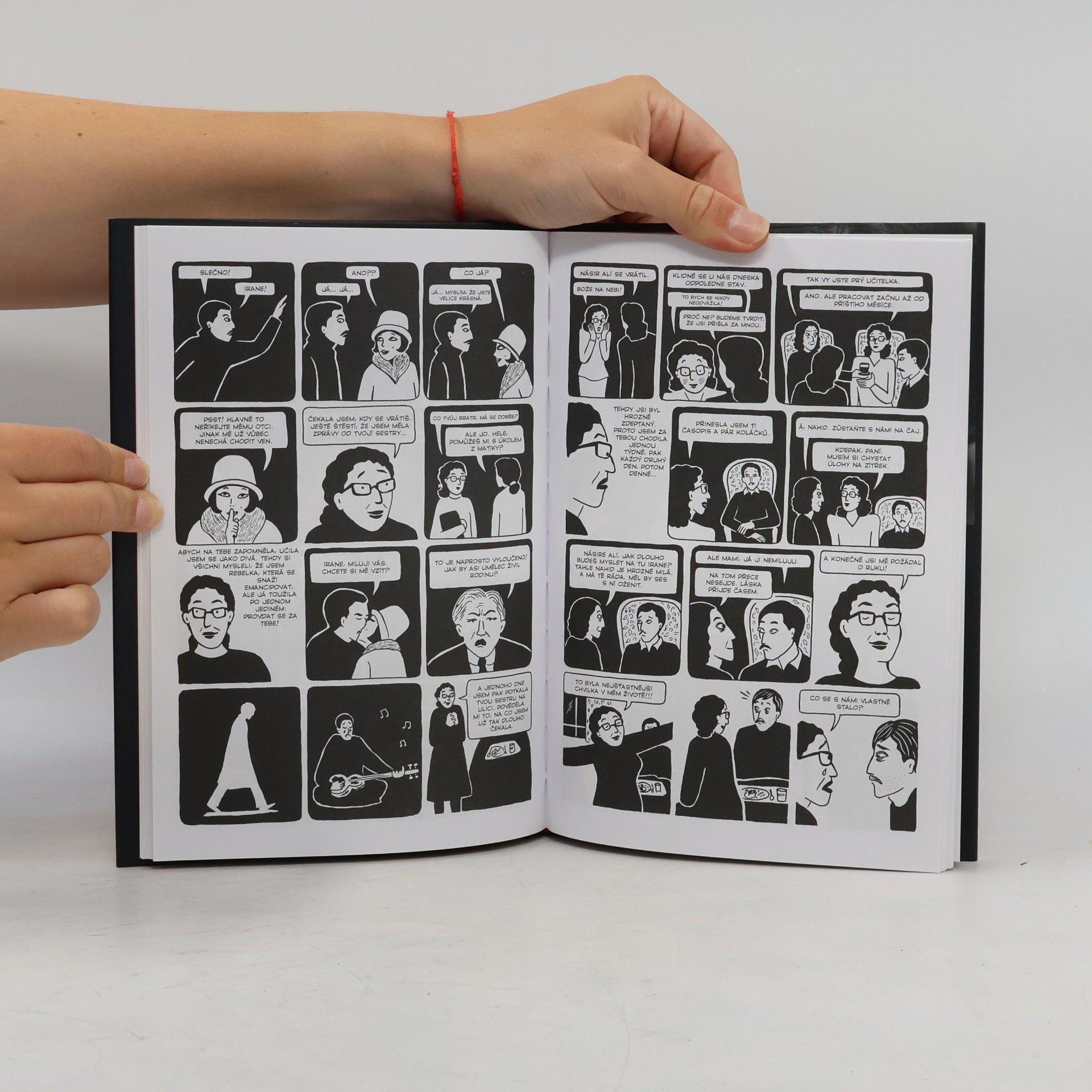 Marjane Satrapi Kuře na švestkách