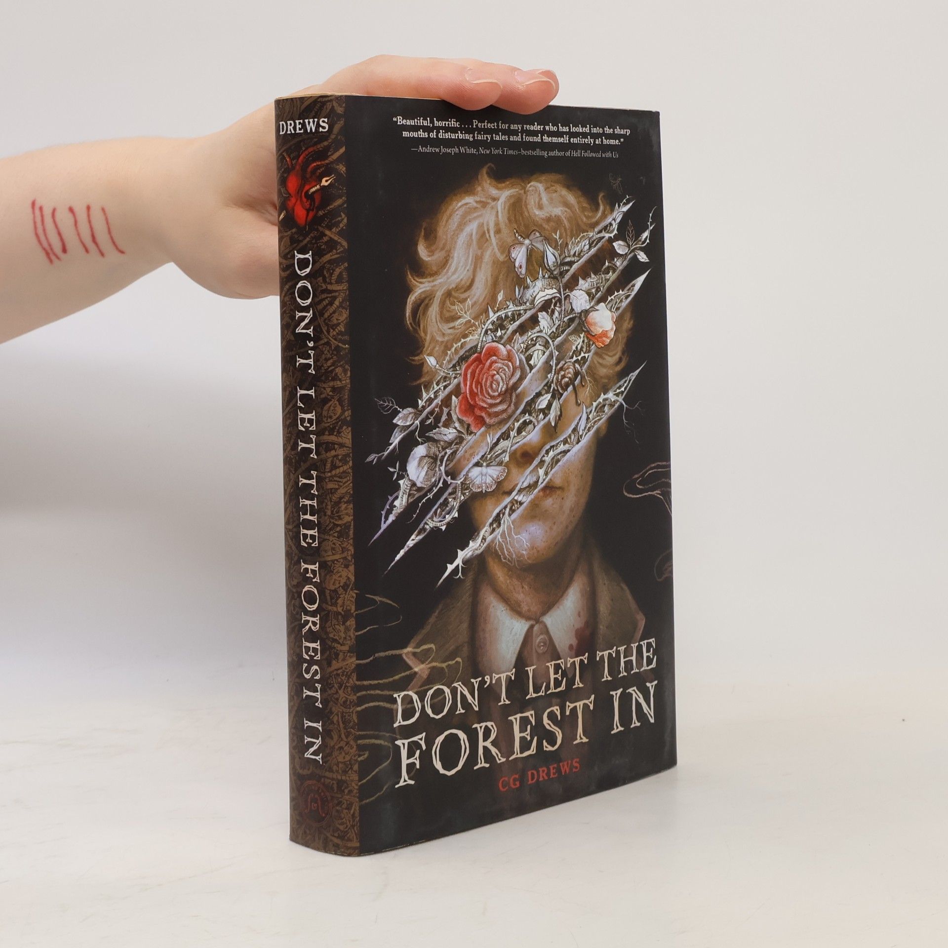 C. G. Drews Don't Let the Forest in (English Edition)