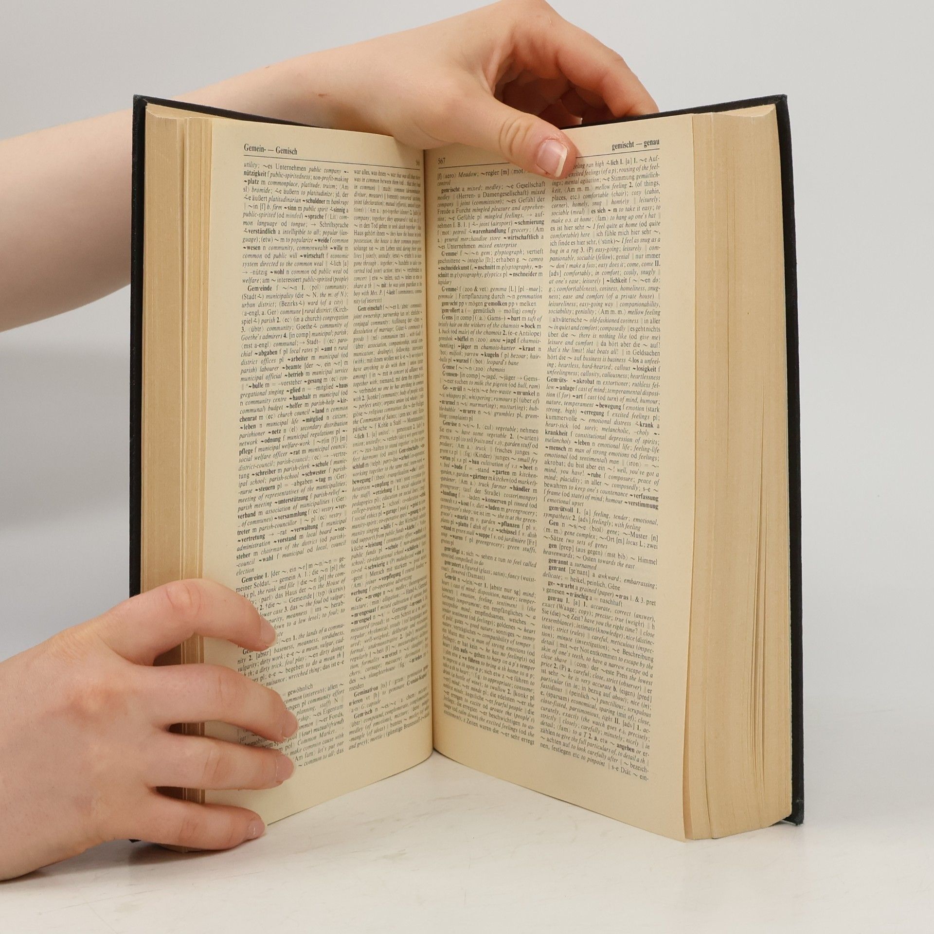 Karl Wildhagen English-German, German-English Dictionary. Volume II. German-English