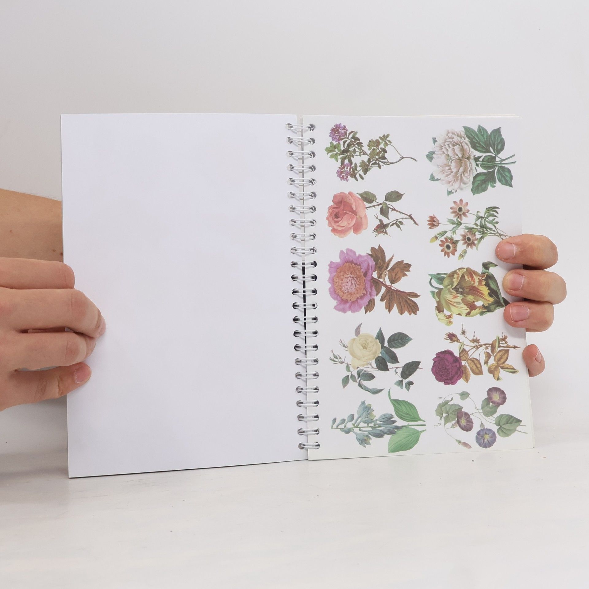 Yuxiang Li Flower Guide