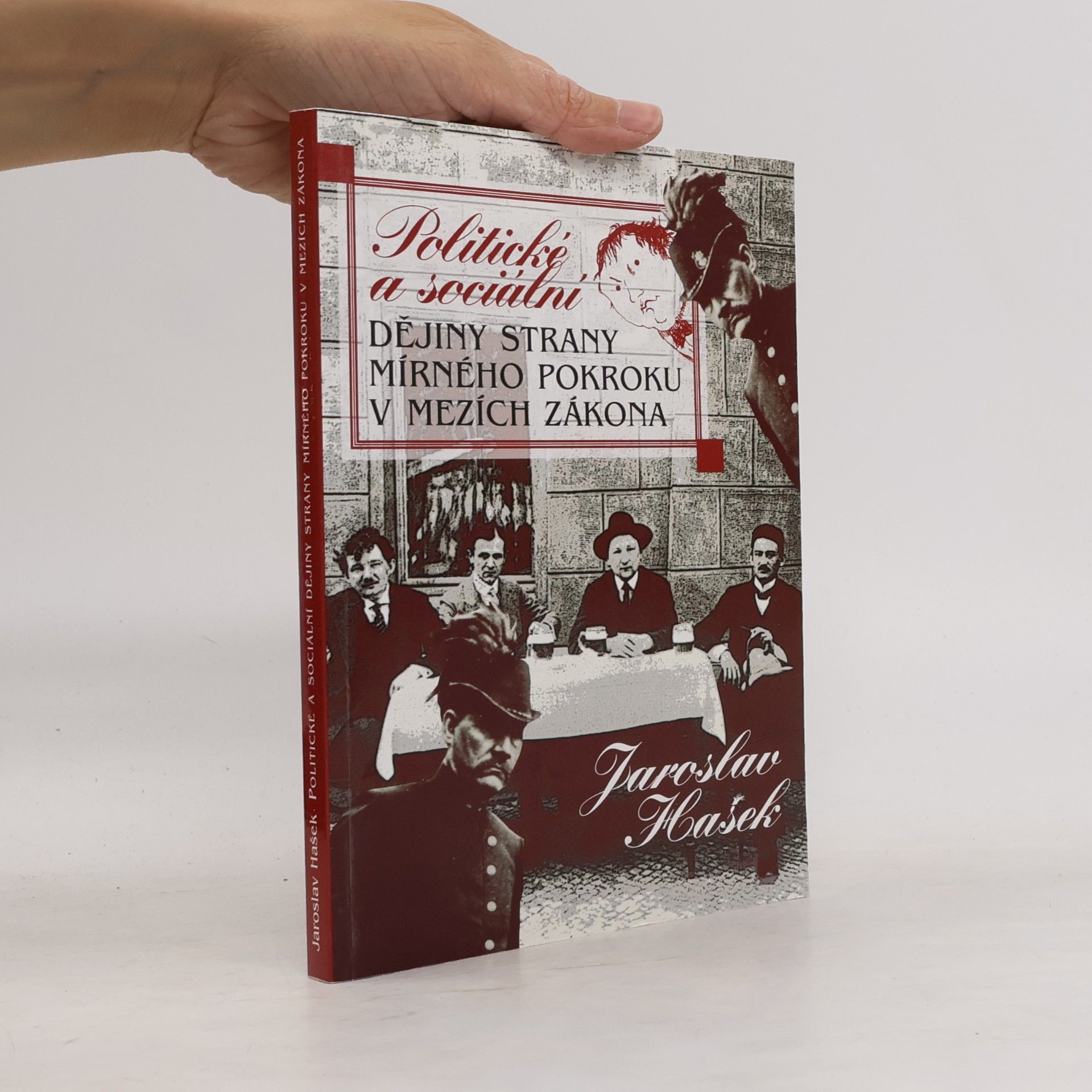 Politické a sociální dějiny Strany mírného pokroku v mezích zákona