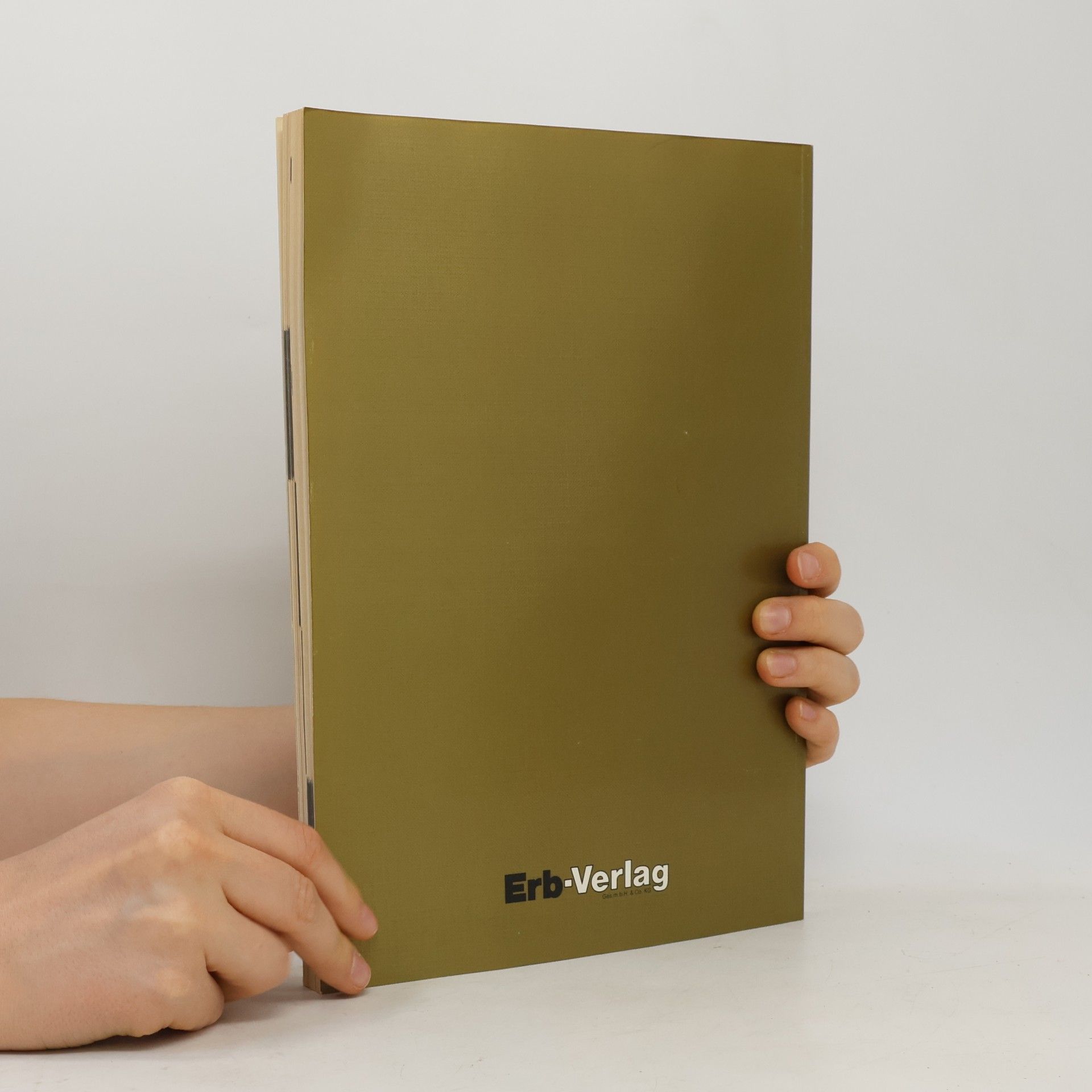 Autorenkollektiv Branchenführer EDV 1988/89
