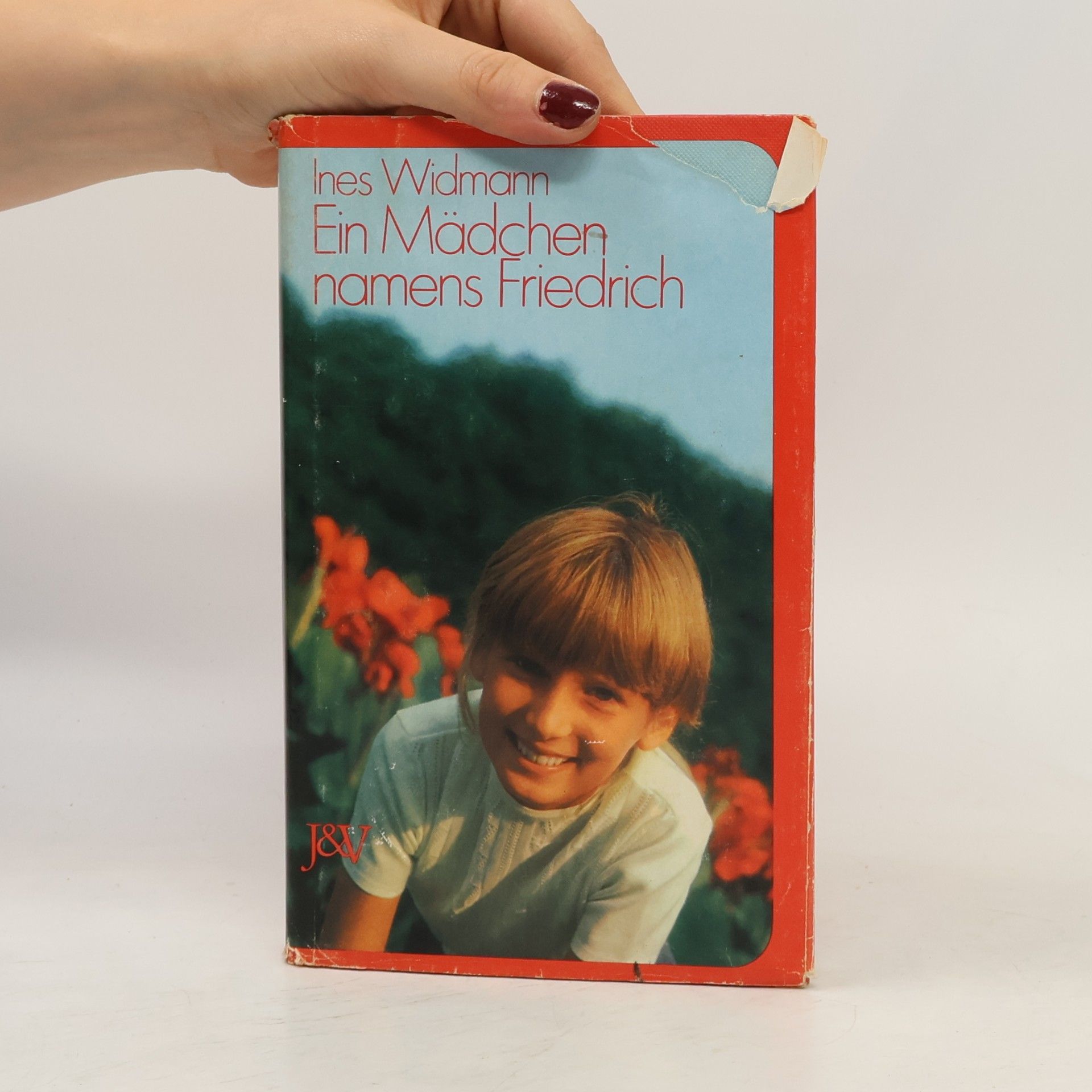 Ines Widmann Ein Mädchen namens Friedrich