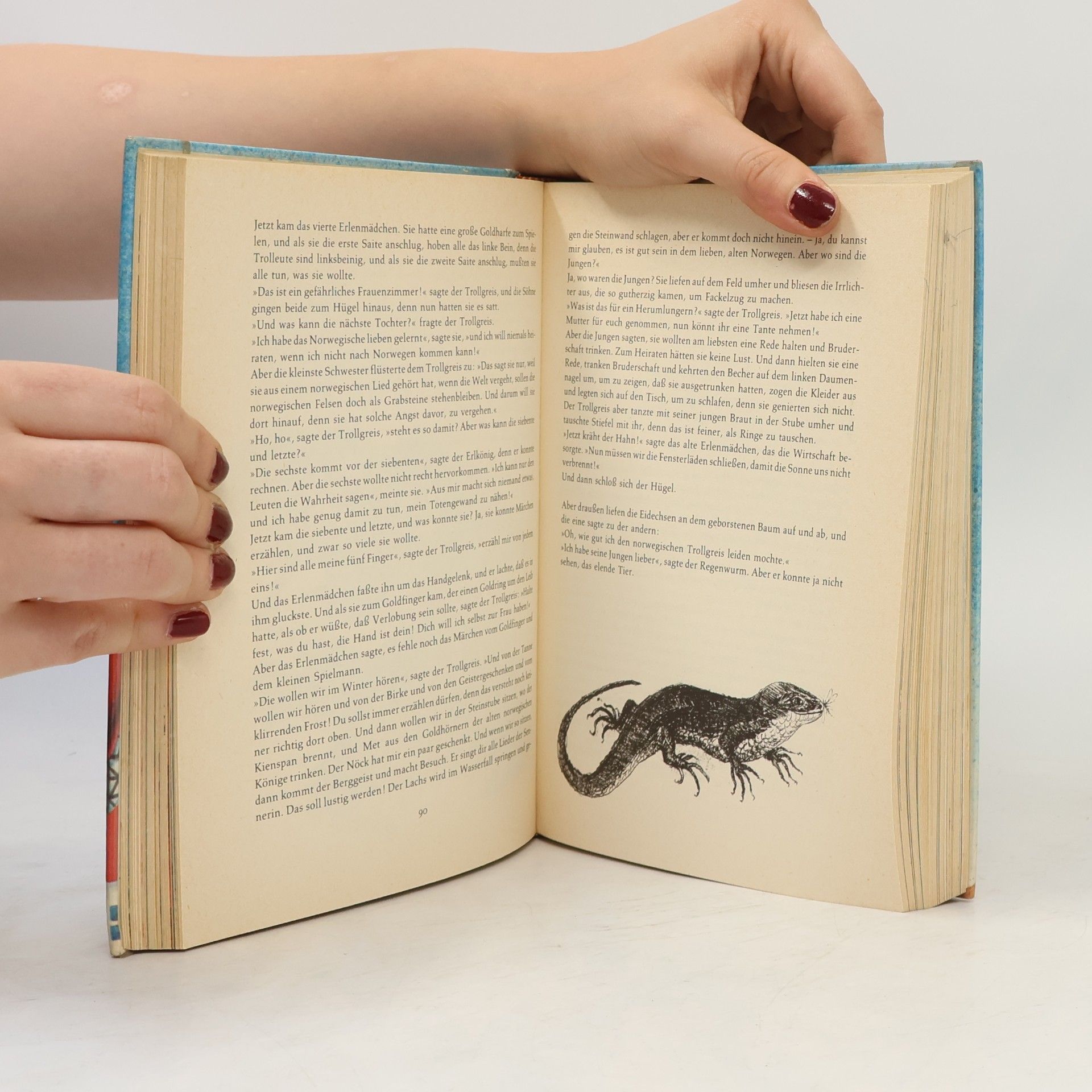 Hans-Christian Andersen Die schönsten Märchen von Hans Christian Andersen
