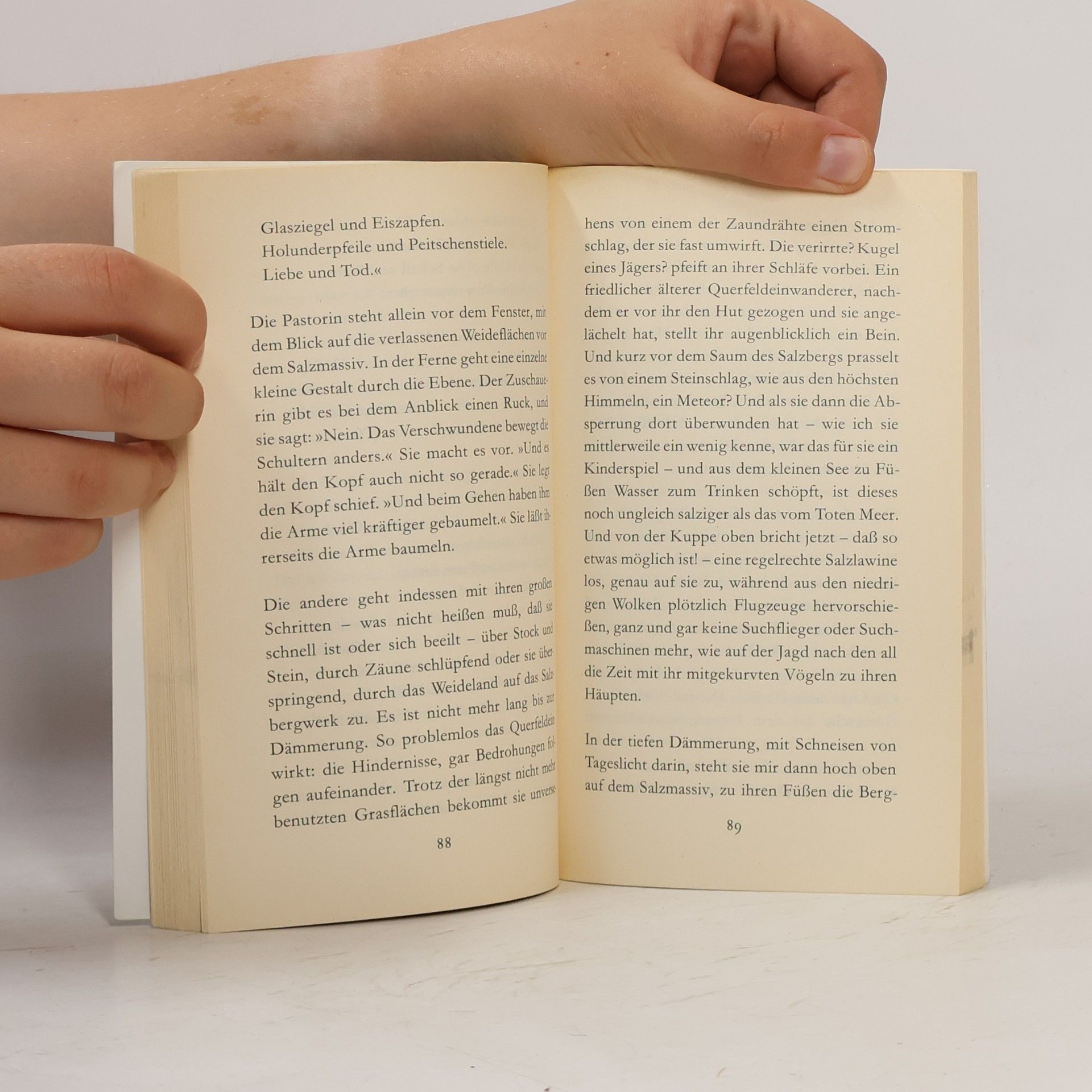 Peter Handke Kali